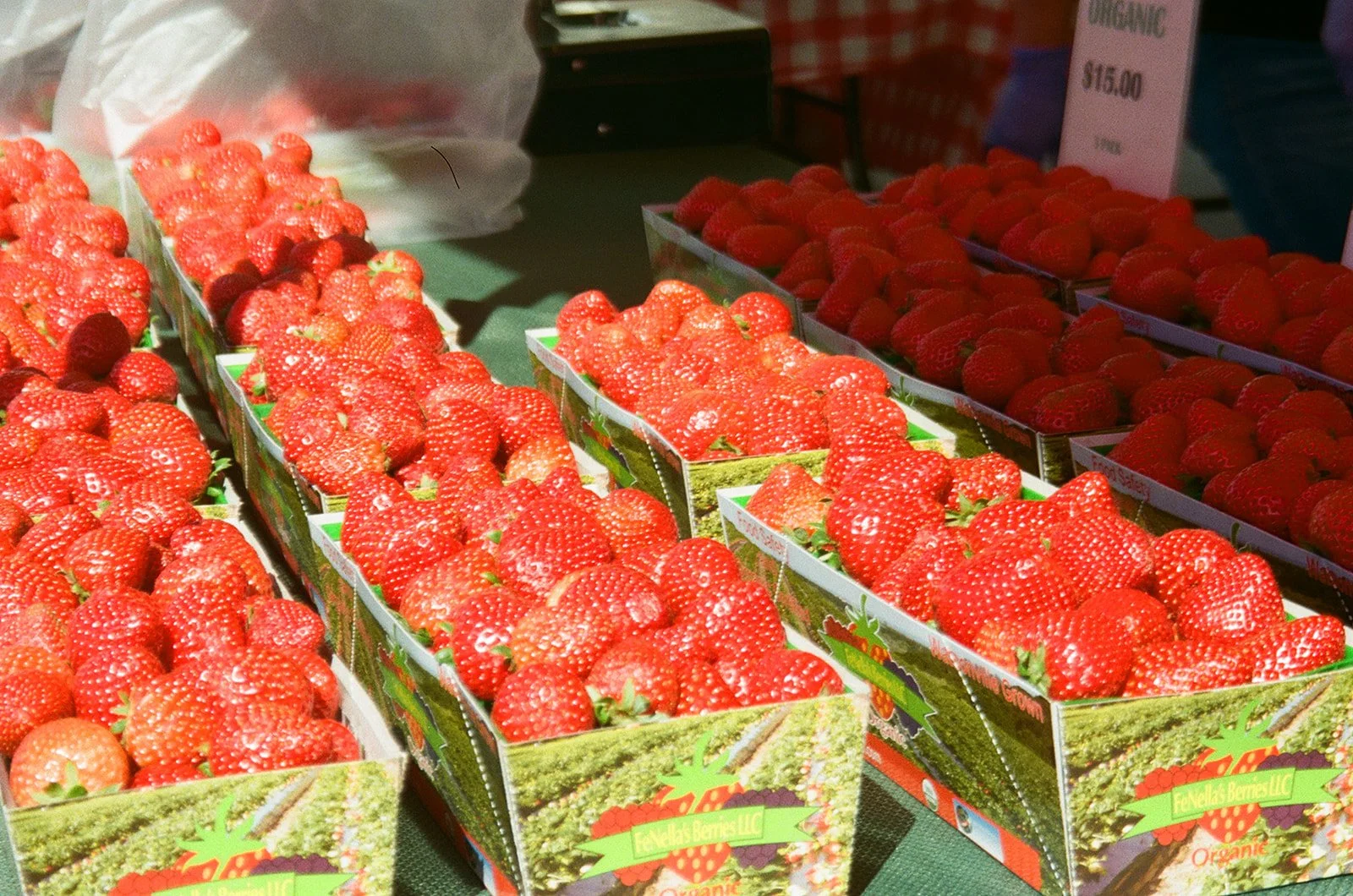 Boxes of fresh strawberries on display at a market.