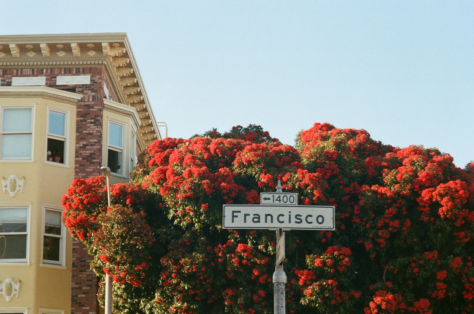 Francisco St.