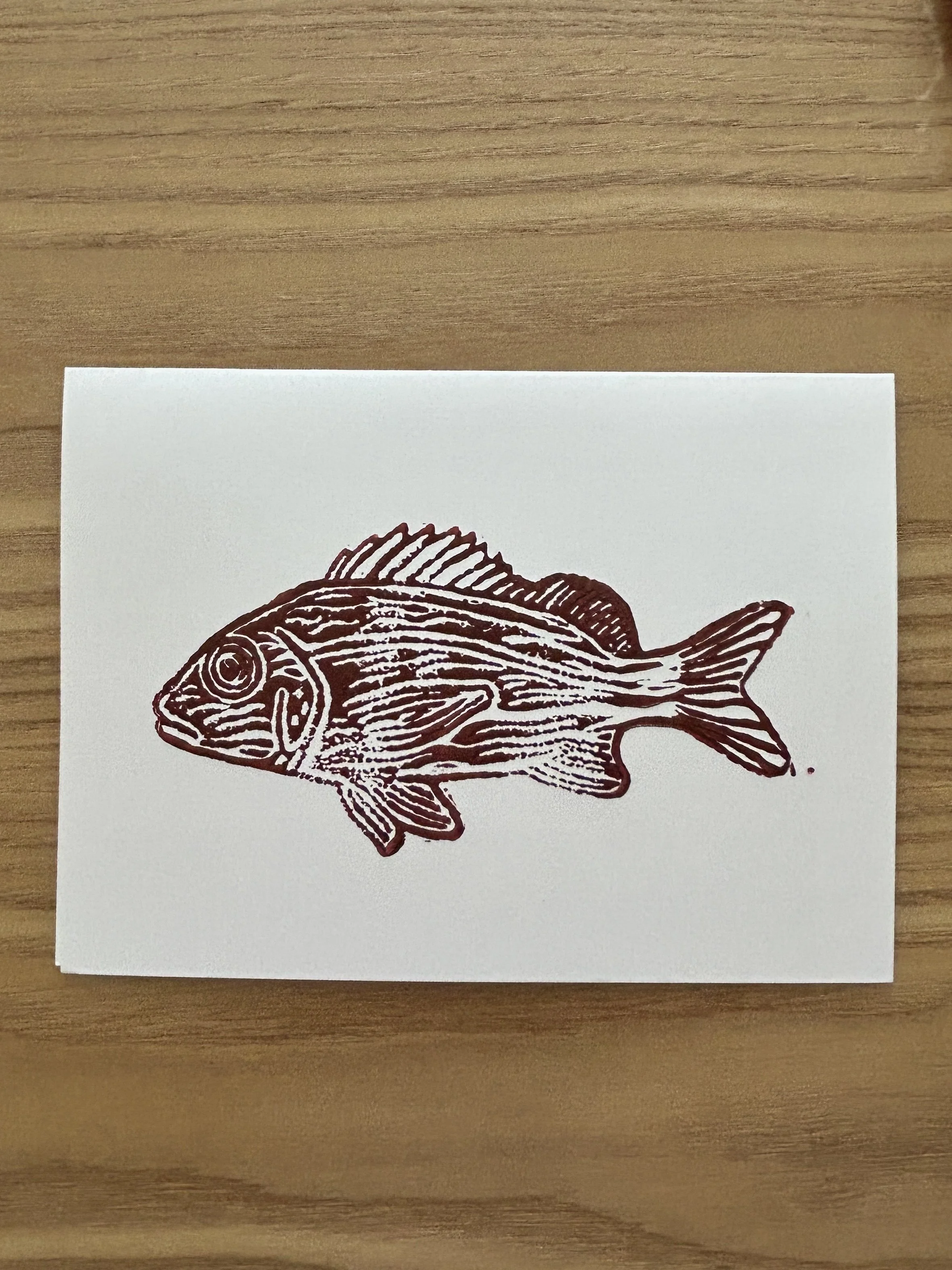 A white card with an illustration of a fish in brown ink, laid on a wooden surface.