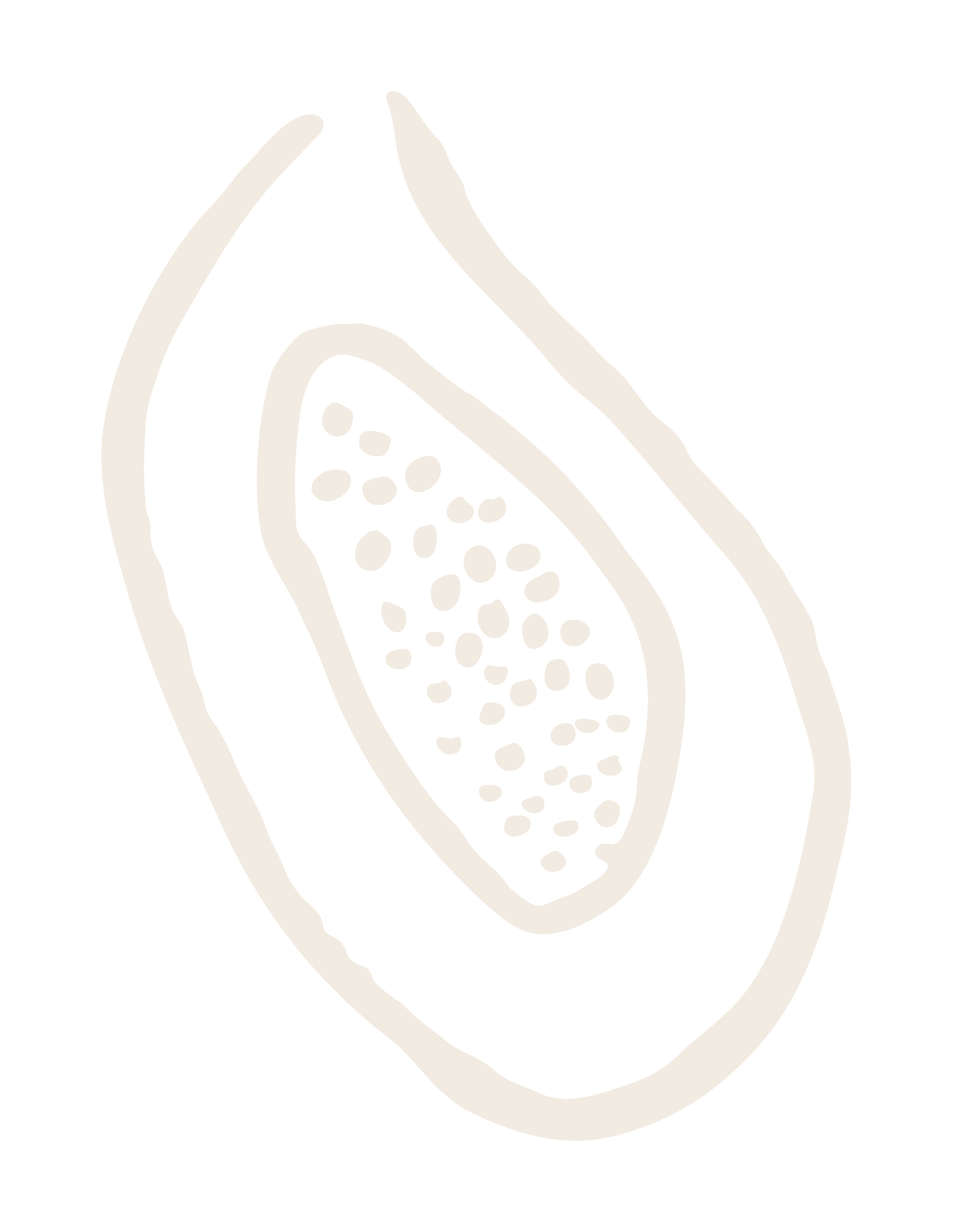 Skizze einer aufgeschnittenen Papaya mit Fruchtfleisch und Samen.