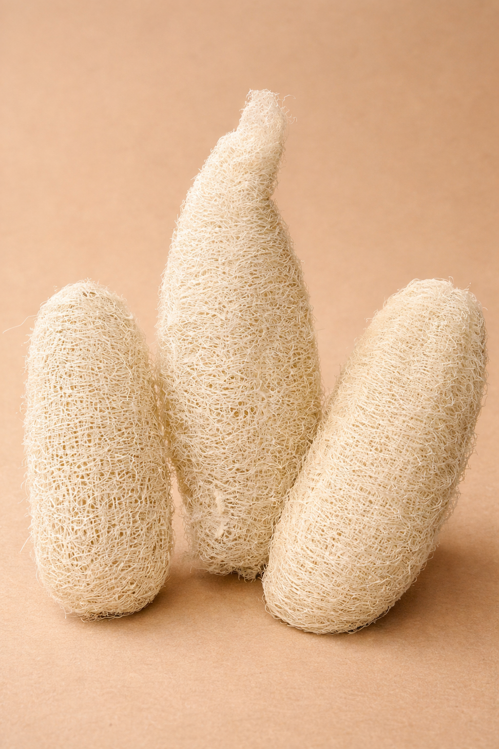 Natural Loofahs