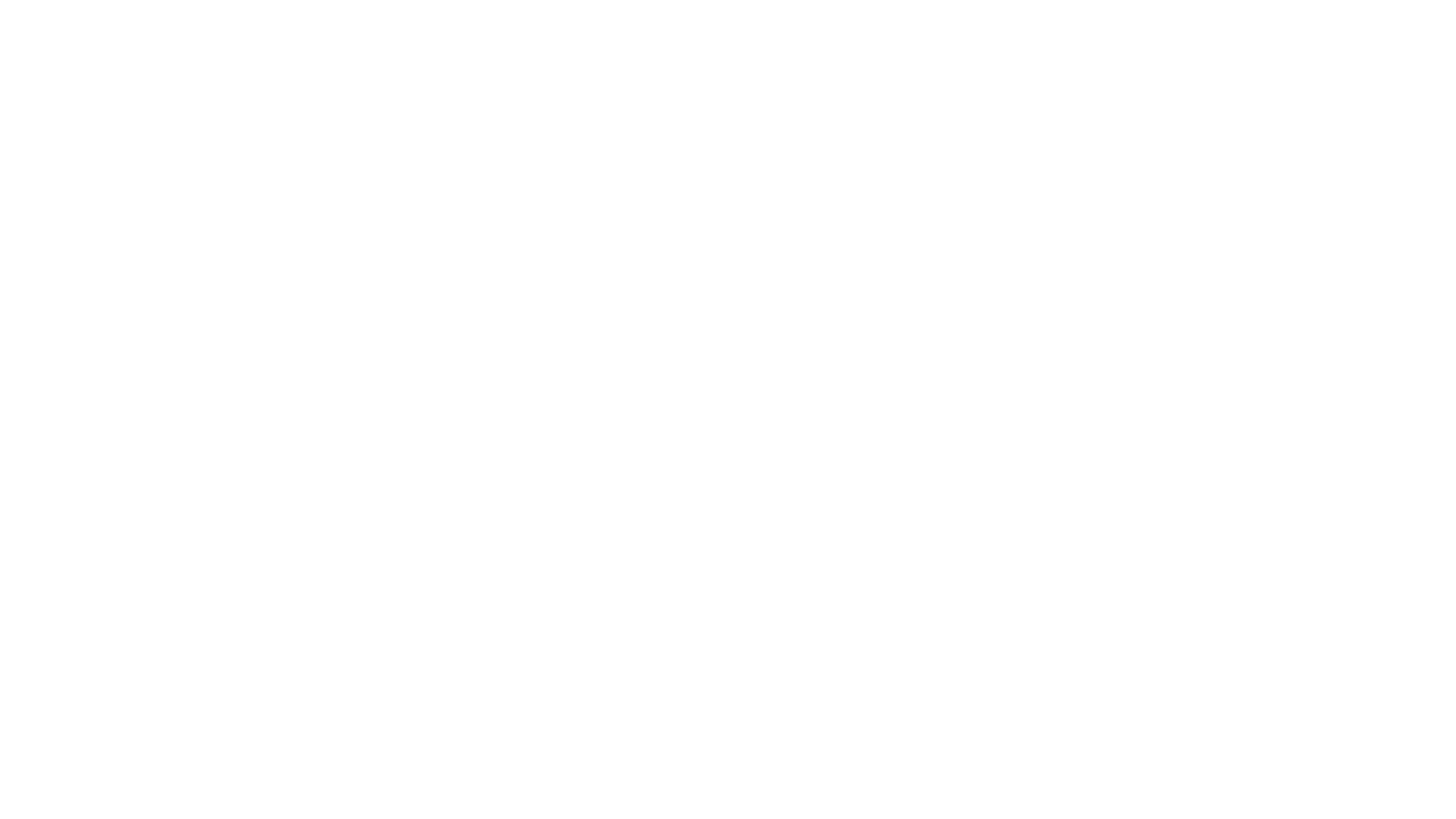 the texas campaign