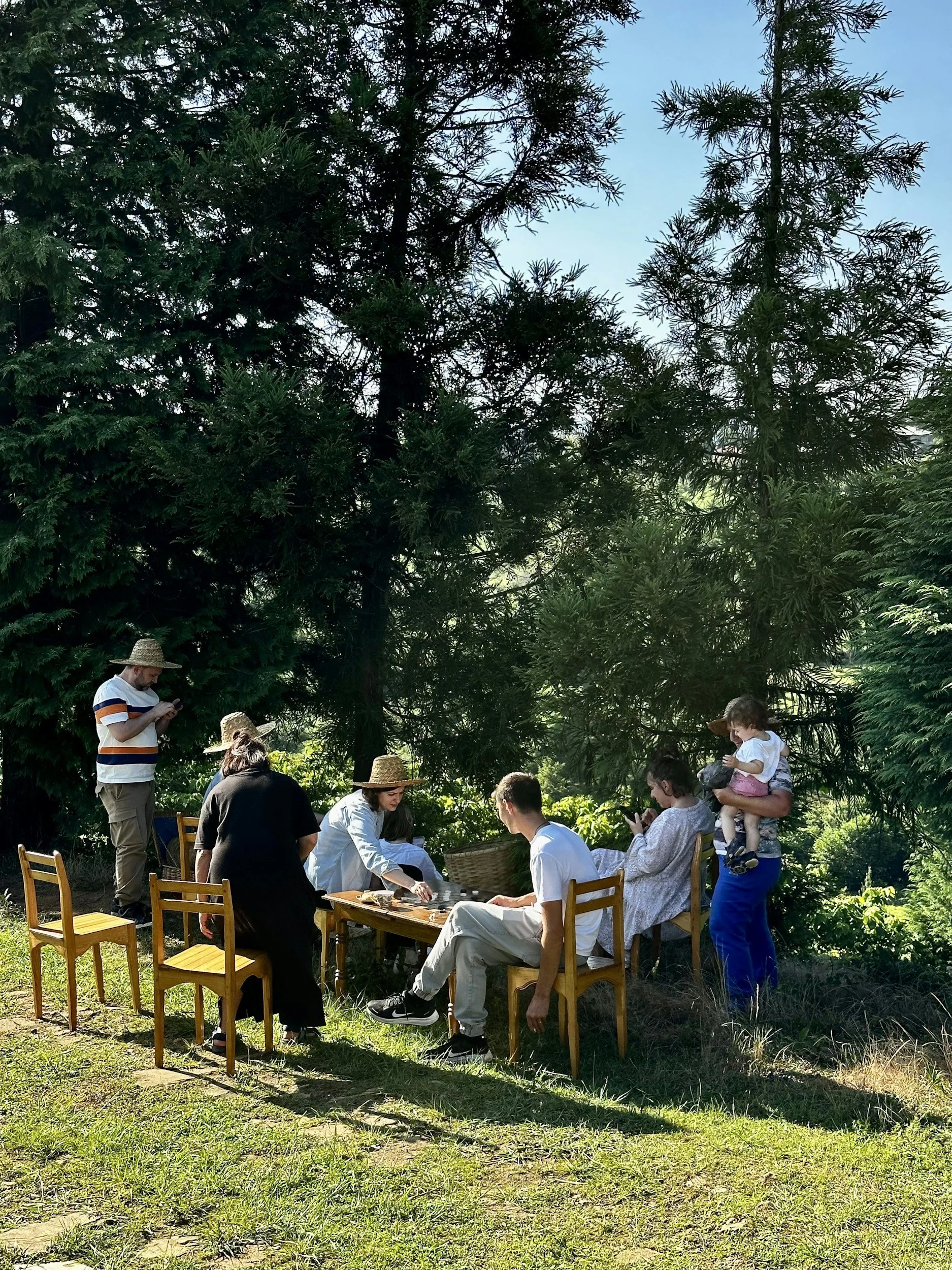 Group of people sitting at a table outdoors under large trees, some using phones, a woman with a child on her hip, a man standing and looking at a phone, and others enjoying a sunny day in a natural setting.