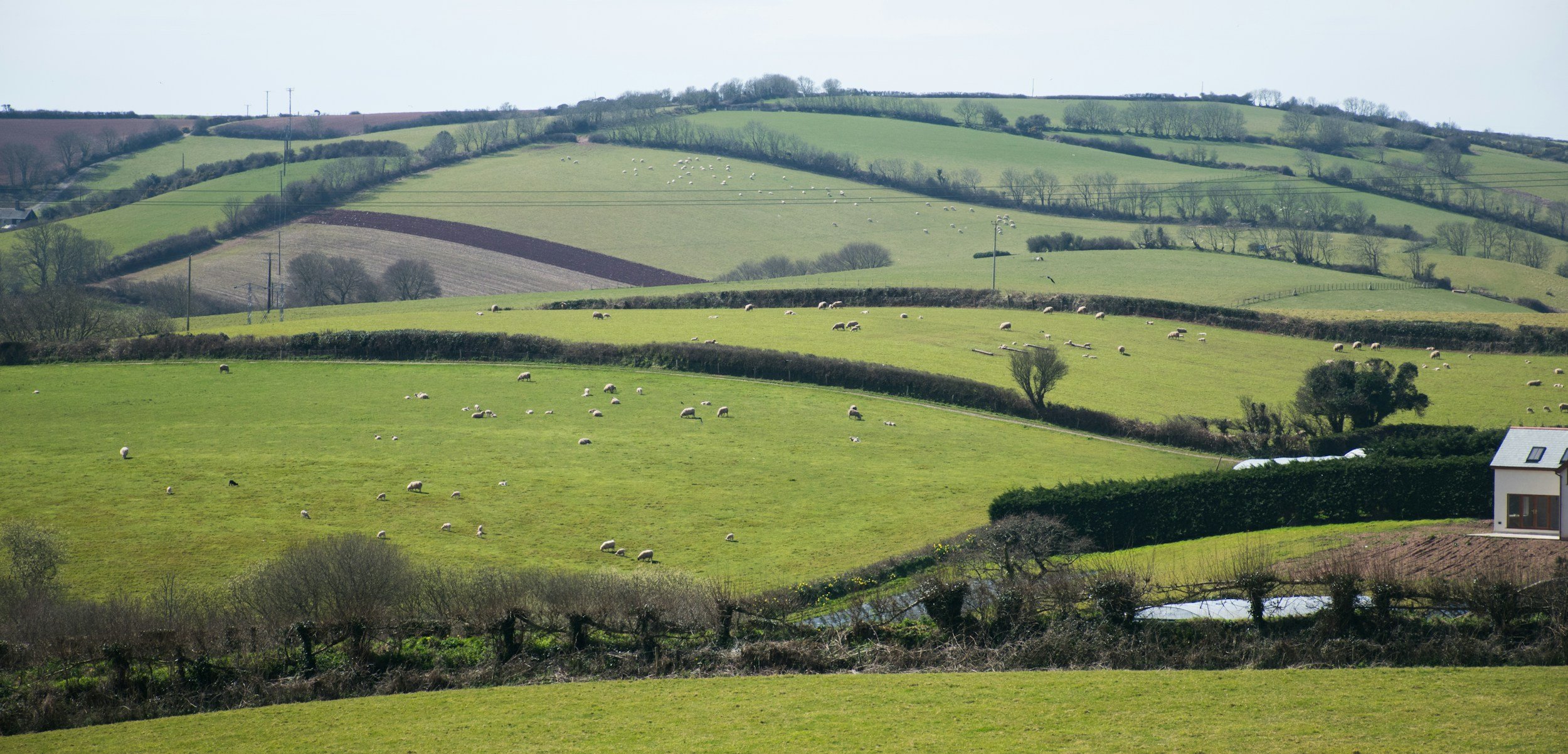 Yorkshire countryside highlighting the local area served by P4 Solar