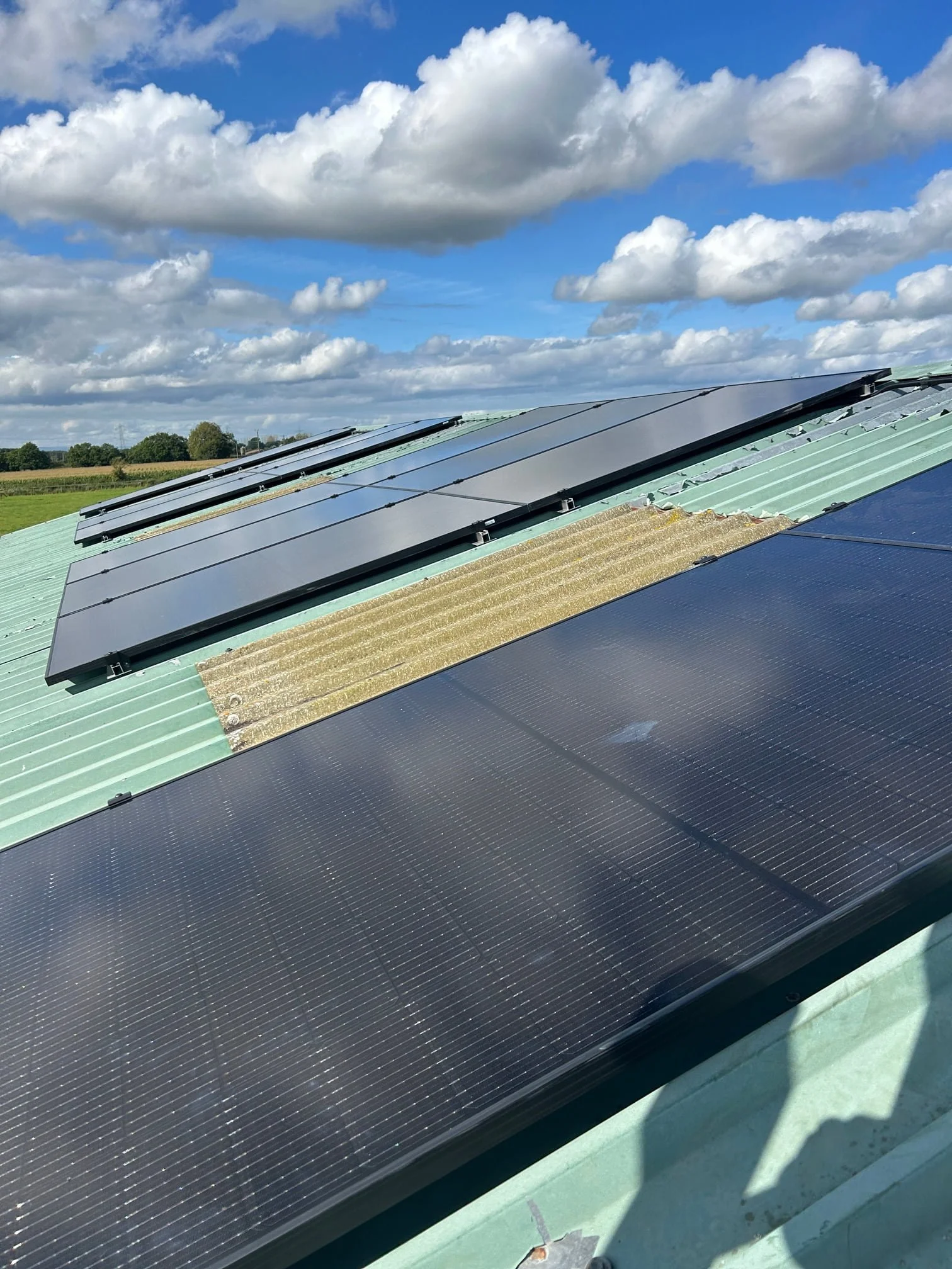 Solar panels installed in an agricultural setting