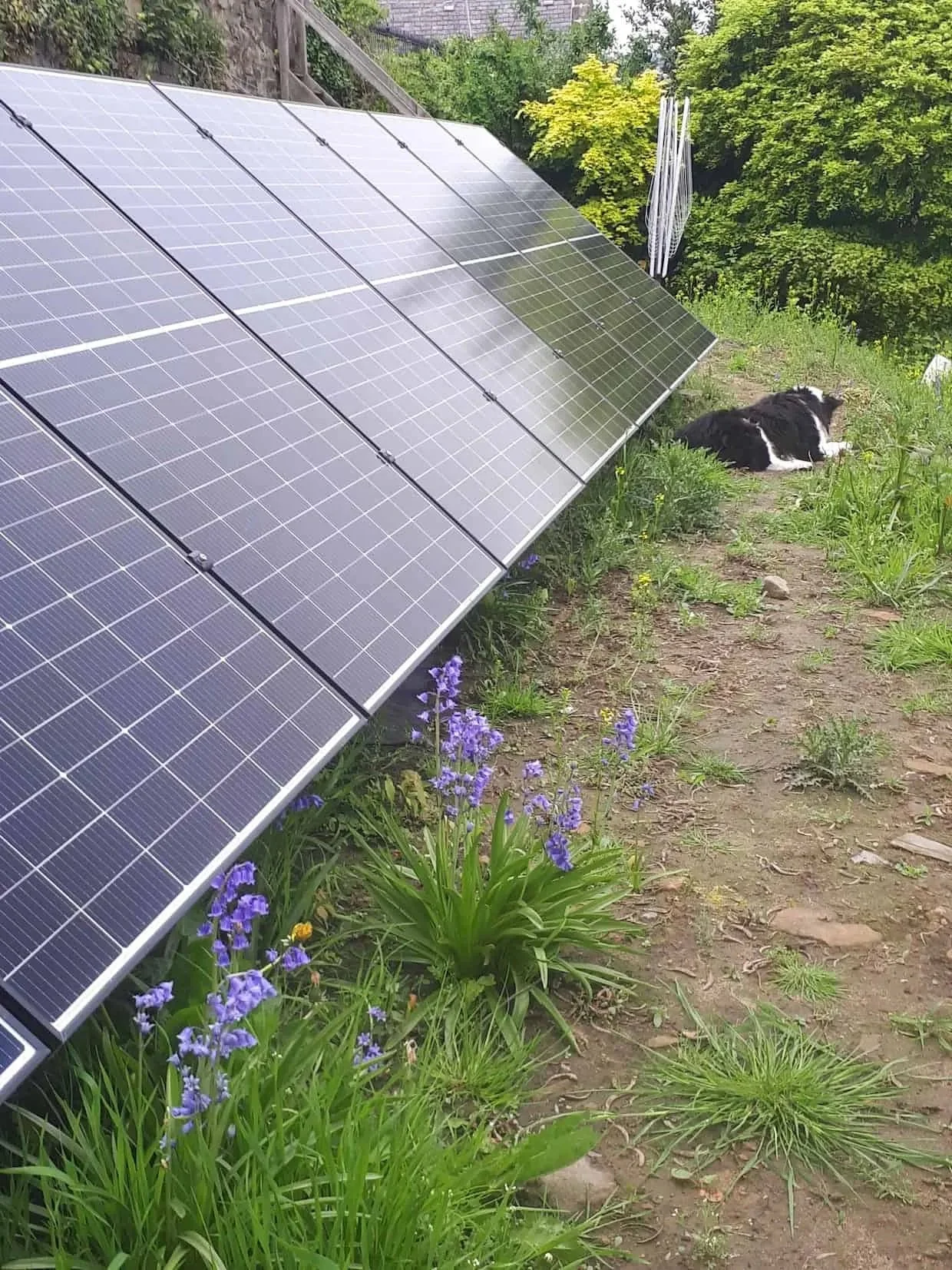 Close-up of a ground-mounted solar panel array installed in a residential garden, surrounded by wildflowers and greenery, generating clean renewable energy for the property.