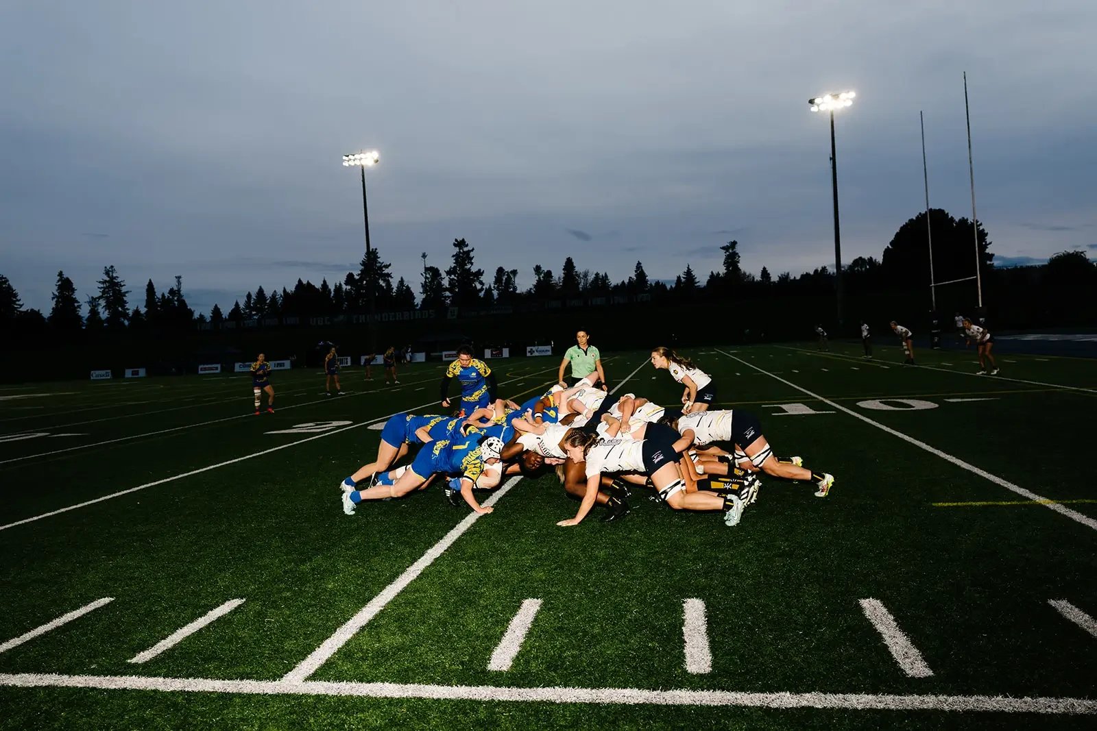 EightTwoFour Wedding Photography _Eight.Two.Four-89_websize.webp