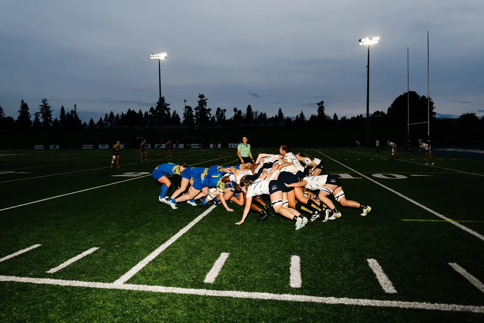 EightTwoFour Wedding Photography _Eight.Two.Four-91_websize.webp