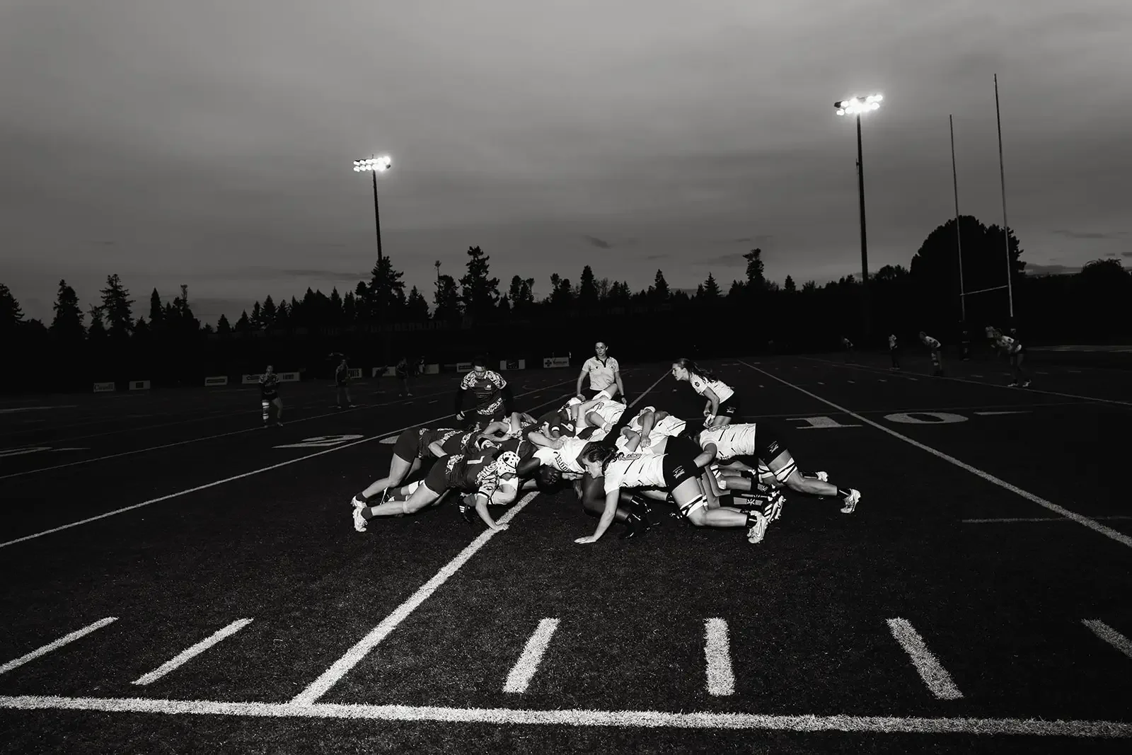 EightTwoFour Wedding Photography _Eight.Two.Four-90_websize.webp