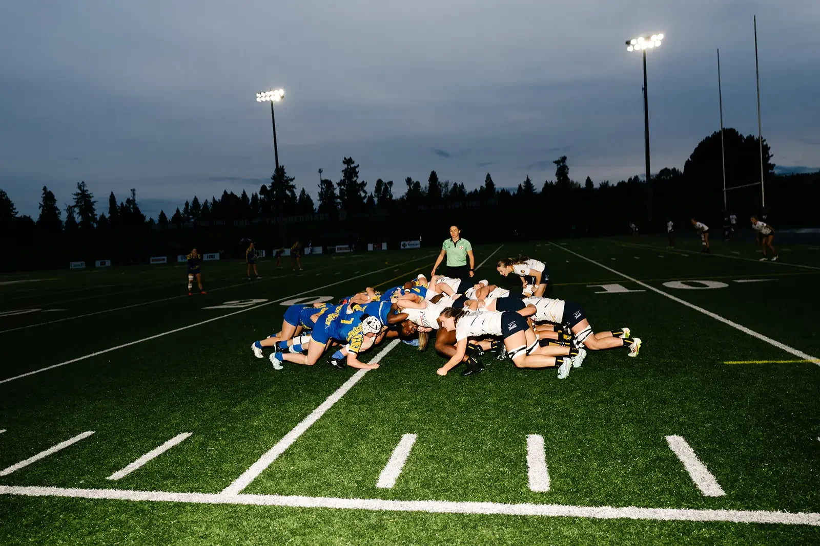 EightTwoFour Wedding Photography _Eight.Two.Four-87_websize.webp