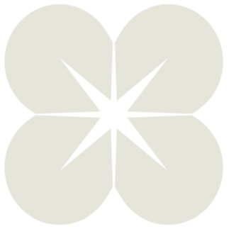 Cuatro círculos grandes con una estrella negra en el centro, formando una figura simétrica.