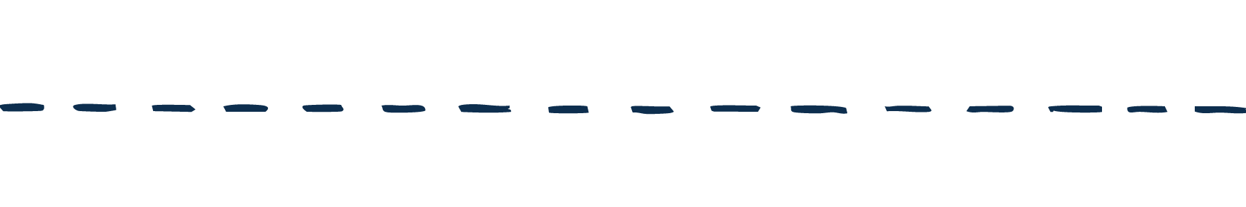 navy blue dashed line