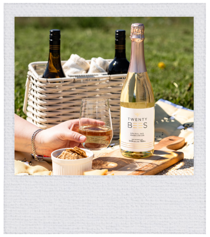 Picnic with wine in a basket and a hand holding a glass of white wine