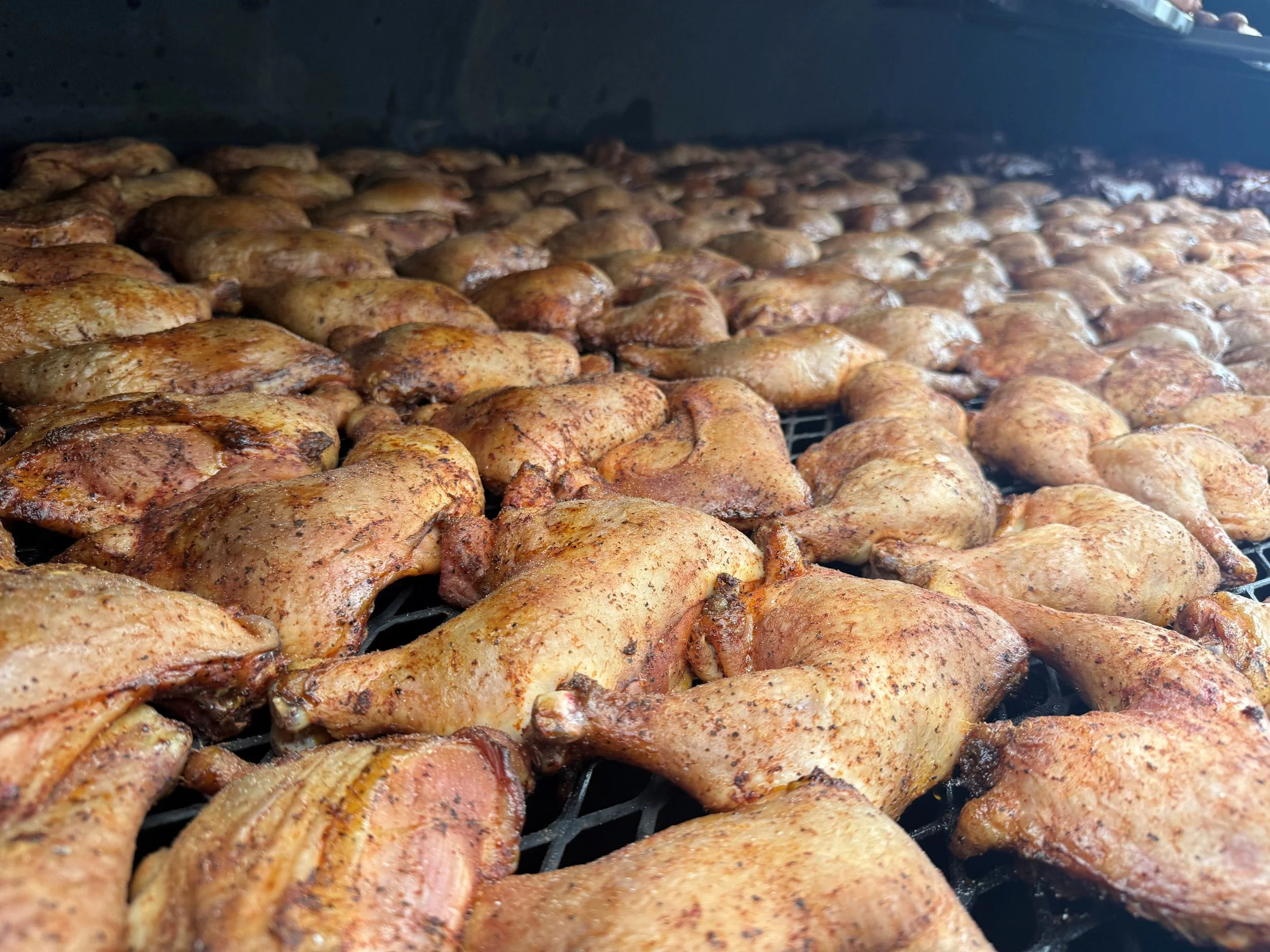 chicken pic.jpg
