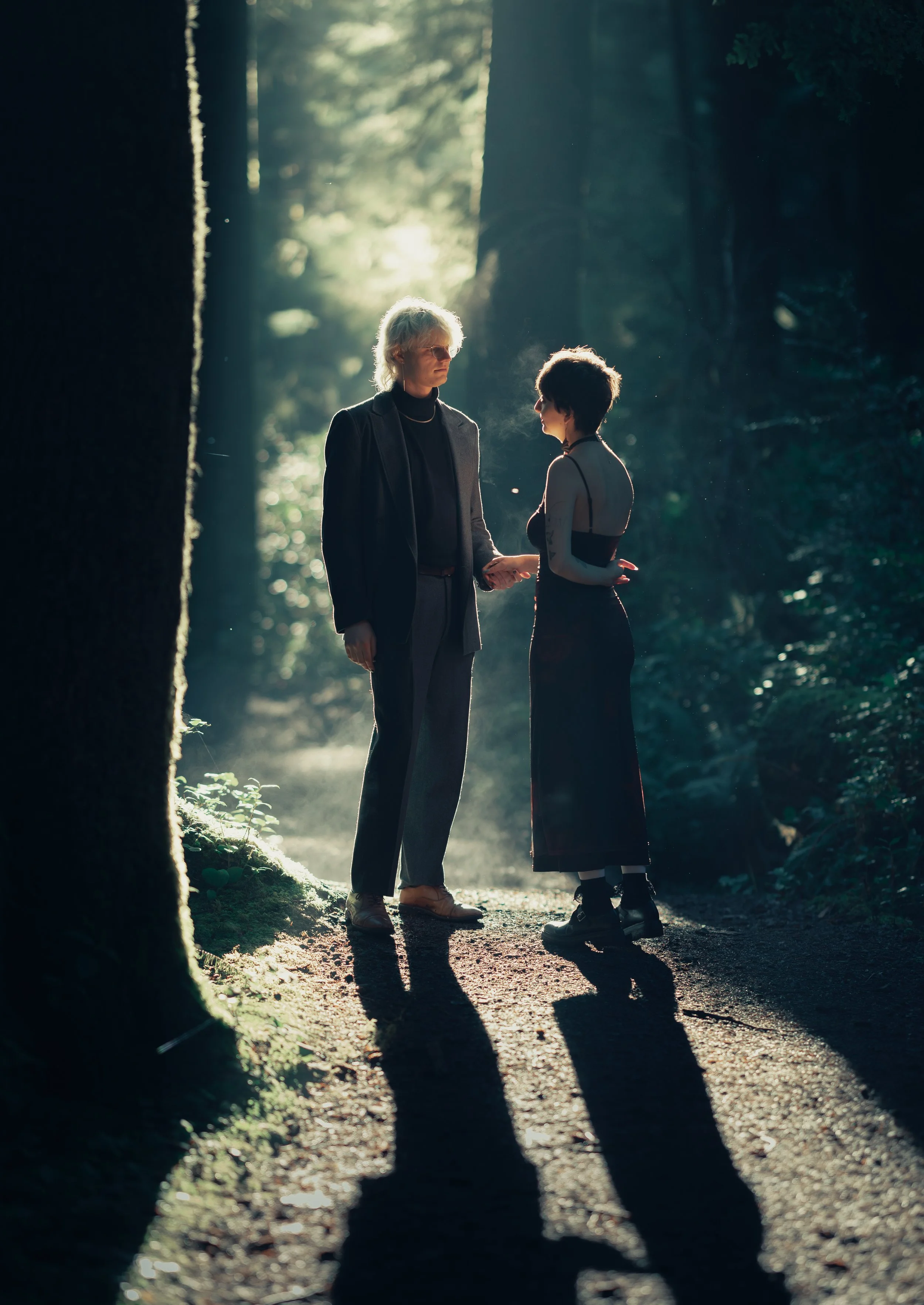 Two people holding hands in a forest, backlit by sunlight filtering through trees, creating long shadows on the ground.