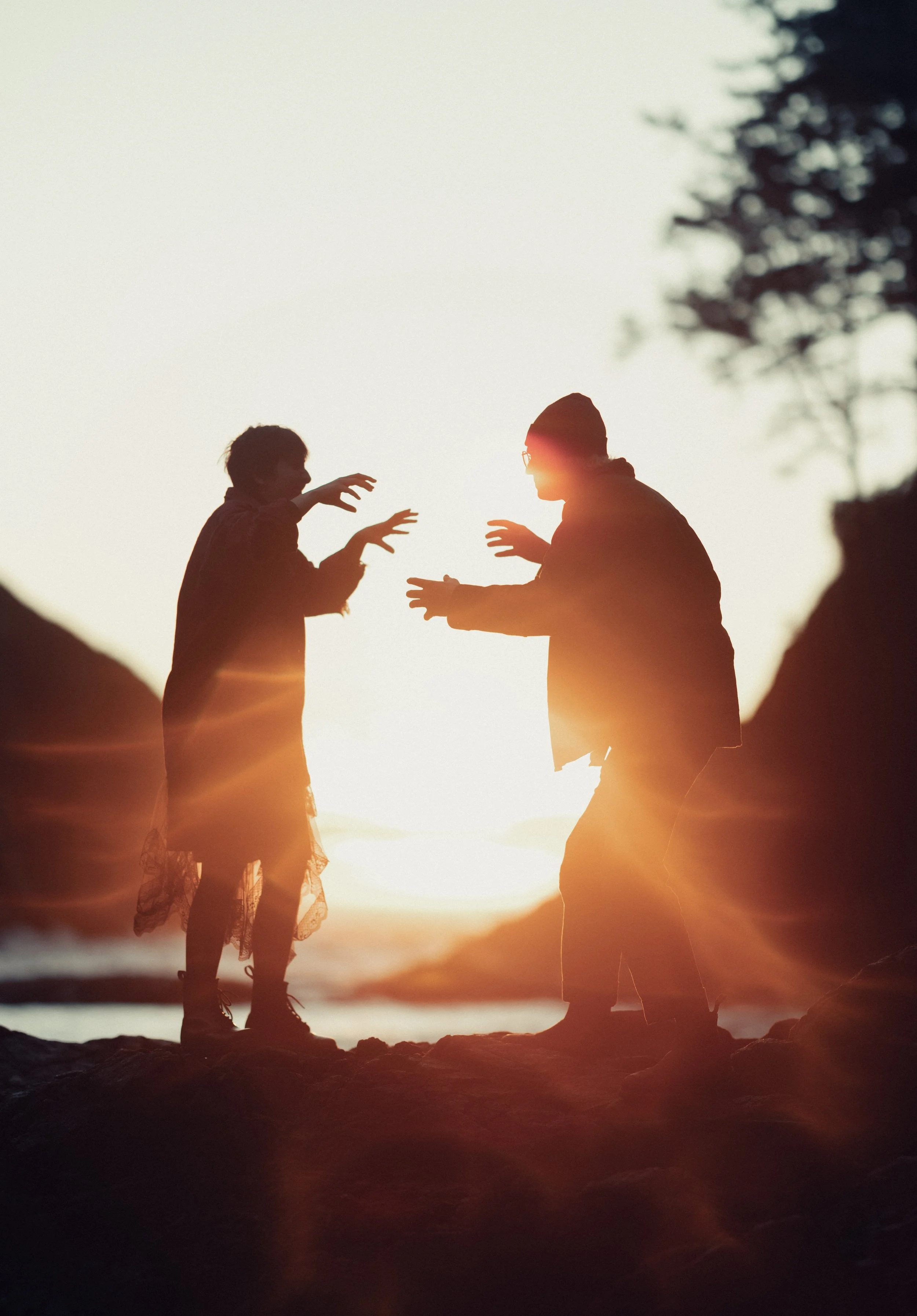 Silhouette of two people reaching towards each other during sunset on a rocky beach, with a tree on the right side.