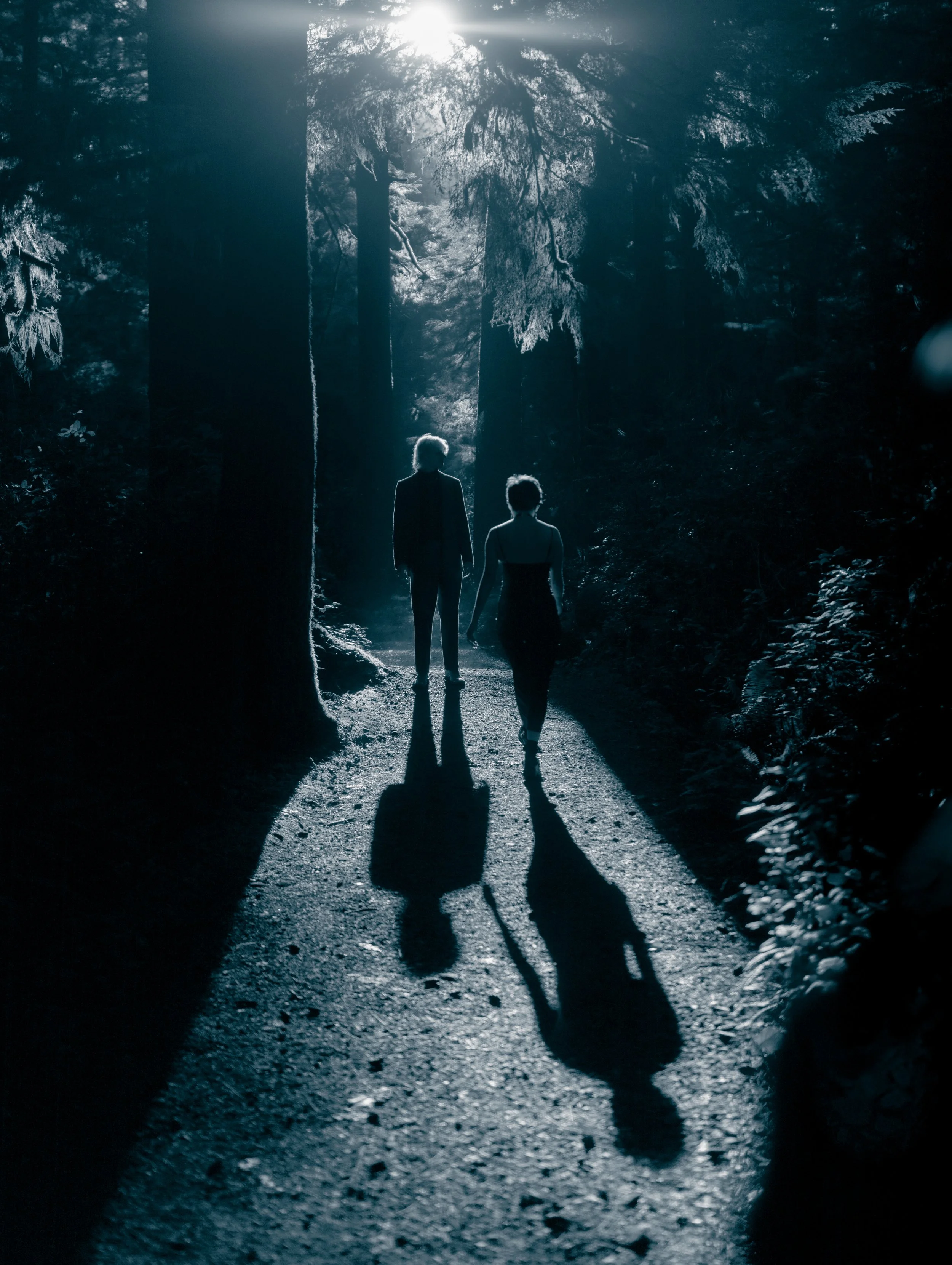 A man and a woman walk along a forest path with sunlight streaming through the trees, casting long shadows.