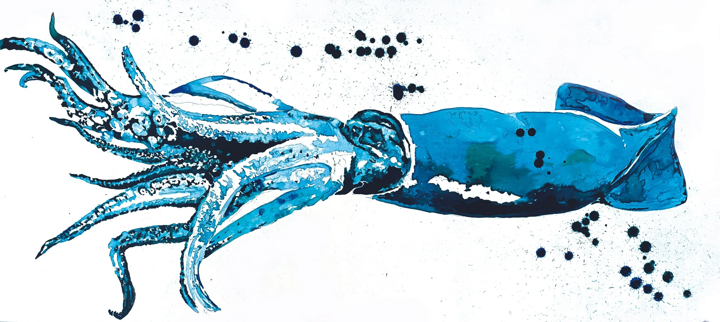 CAMD_dibons1250x560_03.jpg