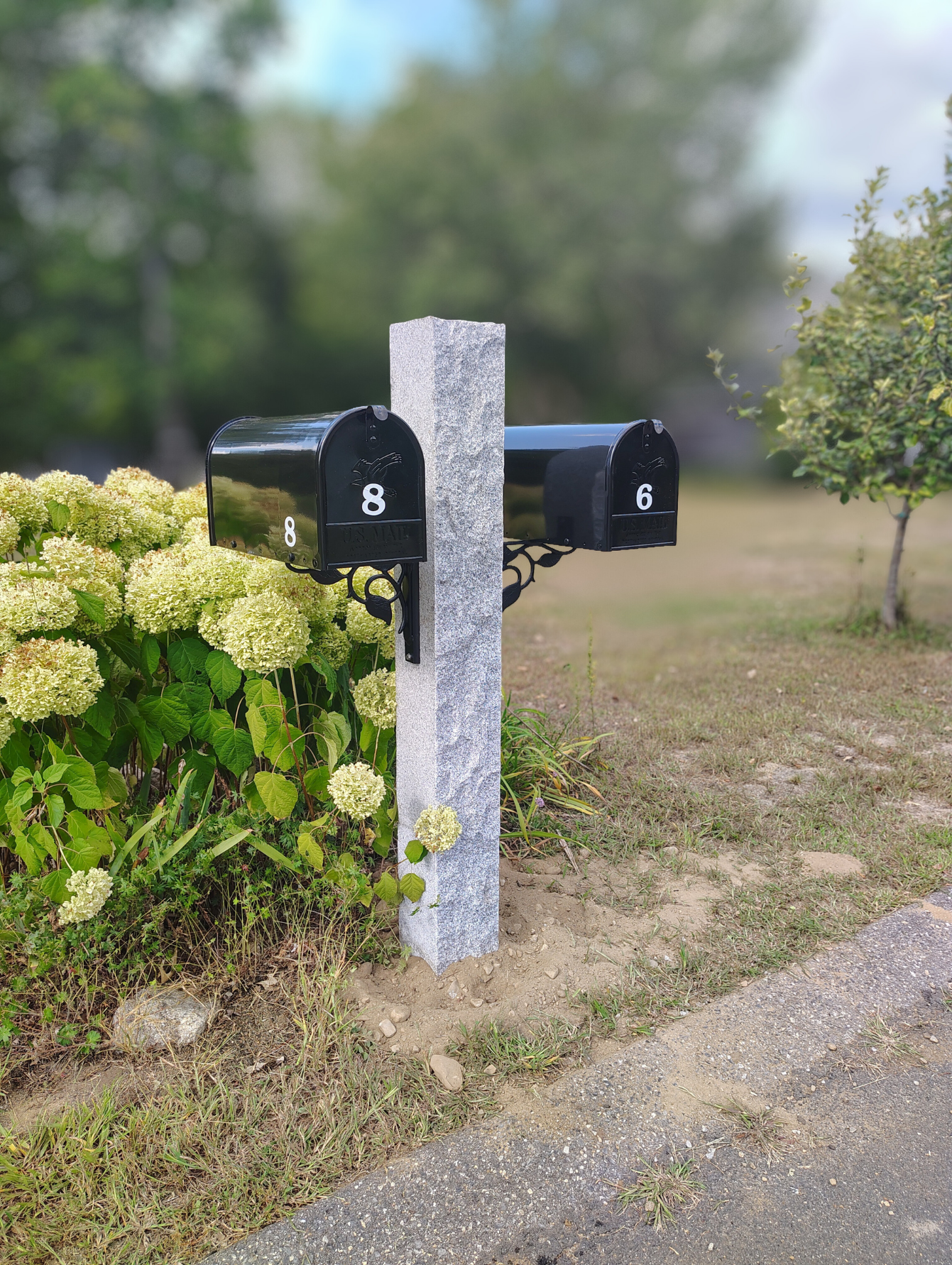 Two black mailboxes labeled 8 and 6 are mounted on a stone post next to a bush with white flowers in a yard with grass and trees in the background.