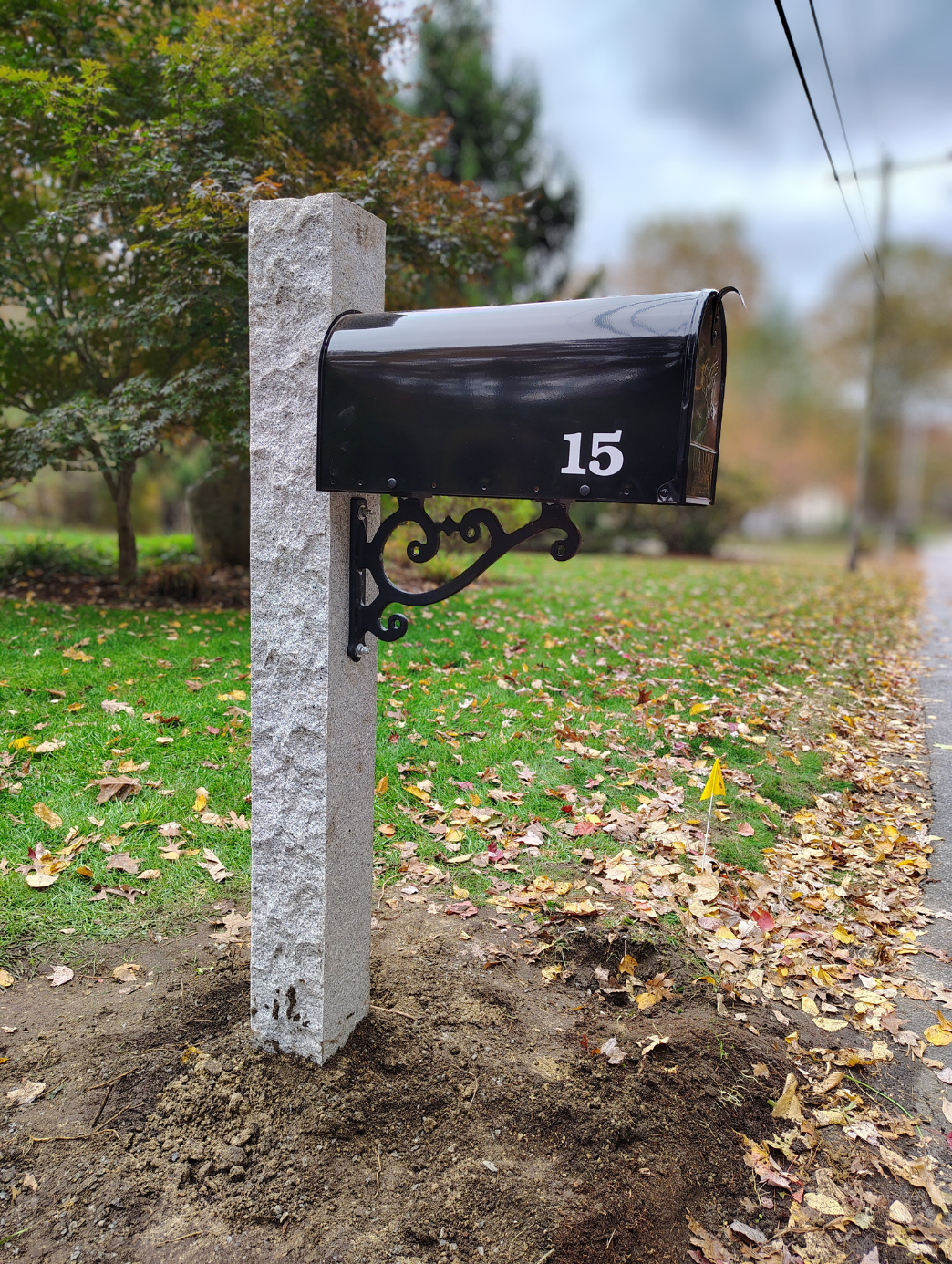 Black mailbox with the number 15 mounted on a stone post next to a sidewalk, with fallen leaves on the grass and trees in the background.