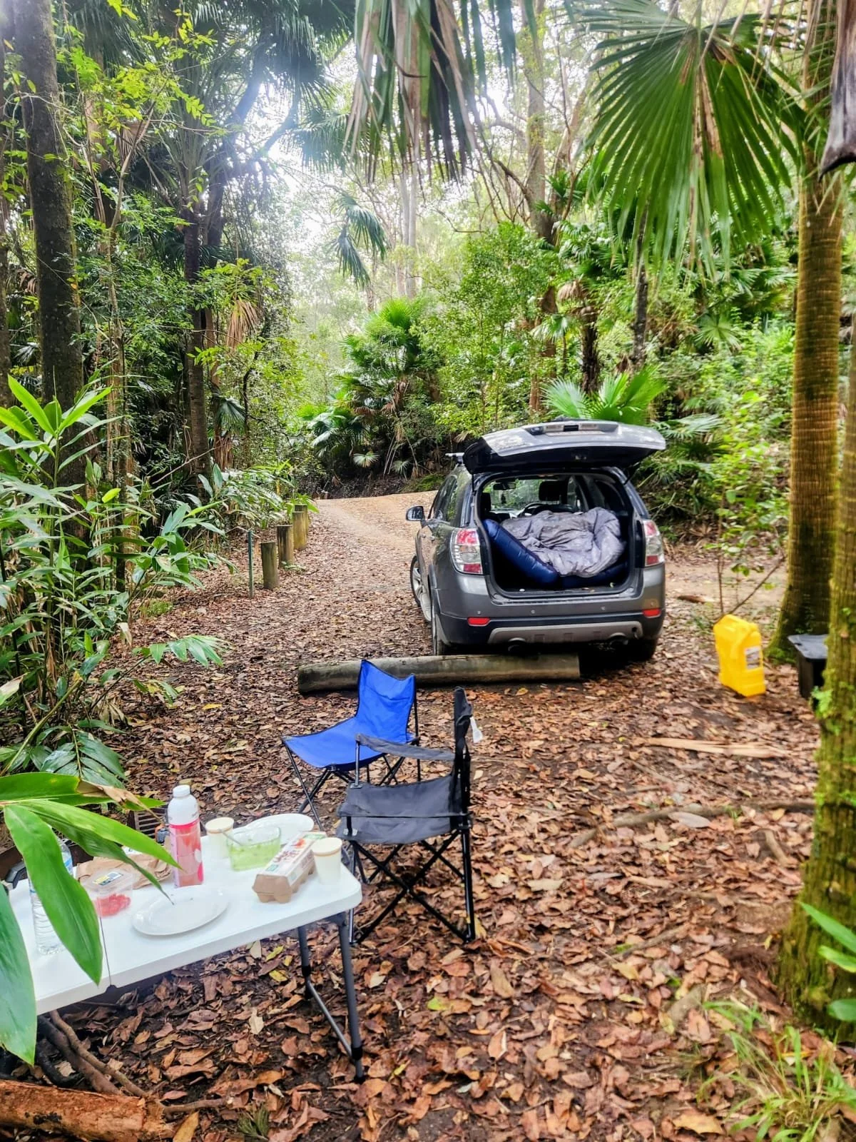 Camping scene in a wooded area with a car parked on a trail, table with food, chairs, and camping gear, surrounded by tall trees and dense greenery.