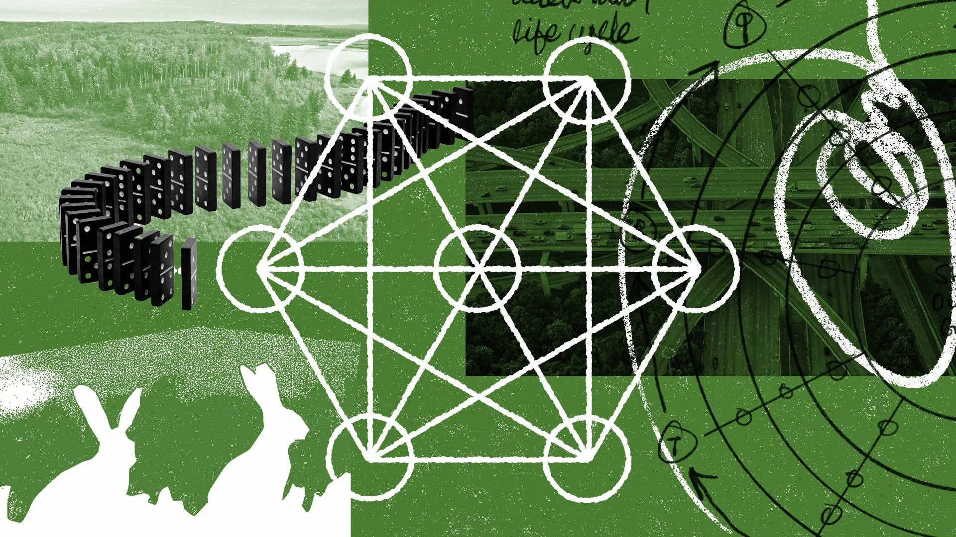 Systems: Complexity,  Emergence, &amp; Leverage