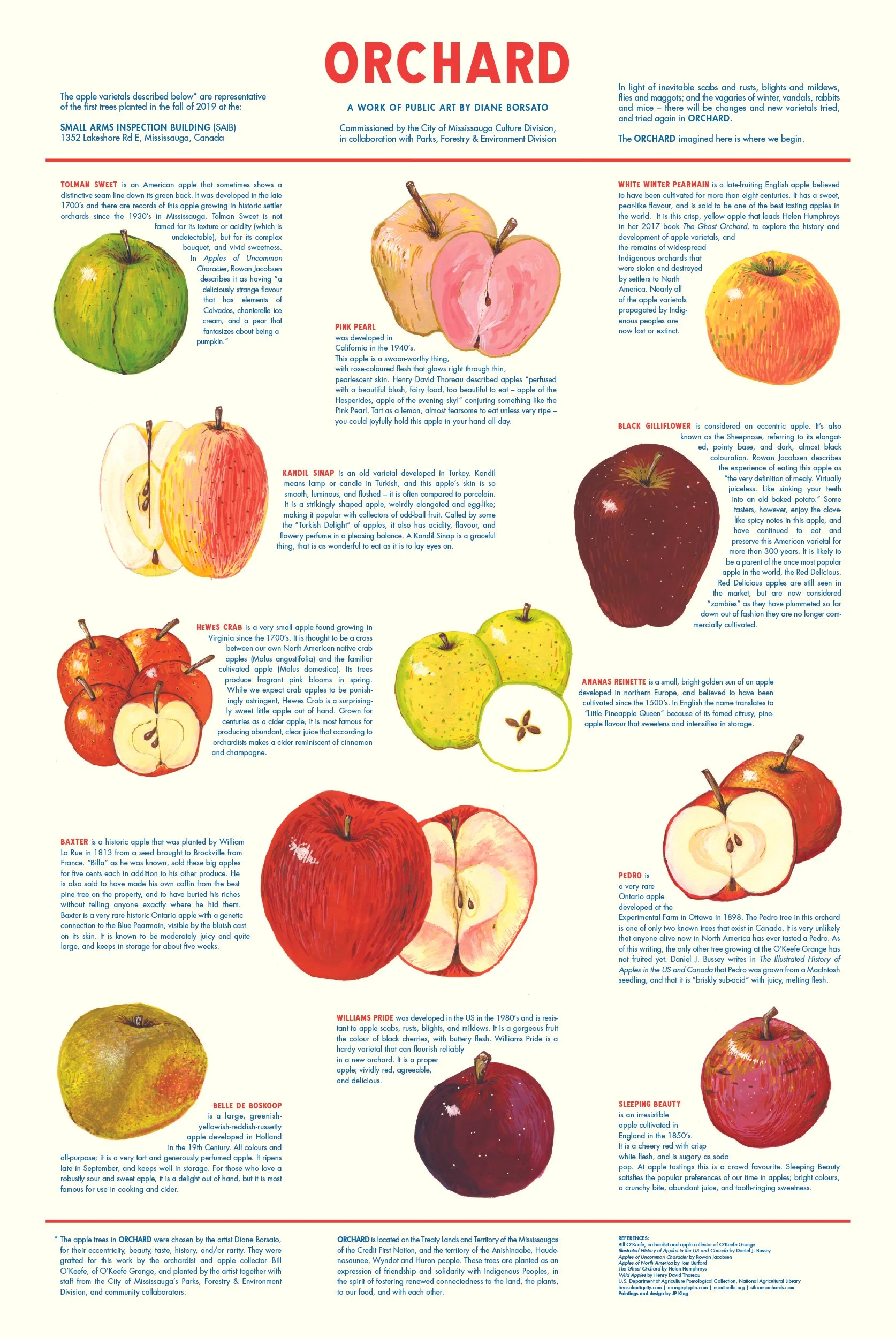 Illustrated poster of various apple varieties with descriptions and origin information, titled 'Orchard' by Diane Borsato.