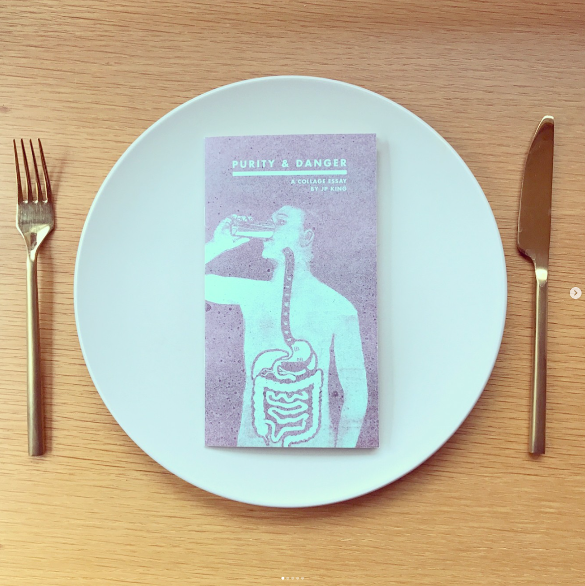 A white plate on a wooden table with a purple pamphlet titled "Purity & Danger" and an illustration of a human figure drinking from a glass, with an outline of the digestive system inside the body.