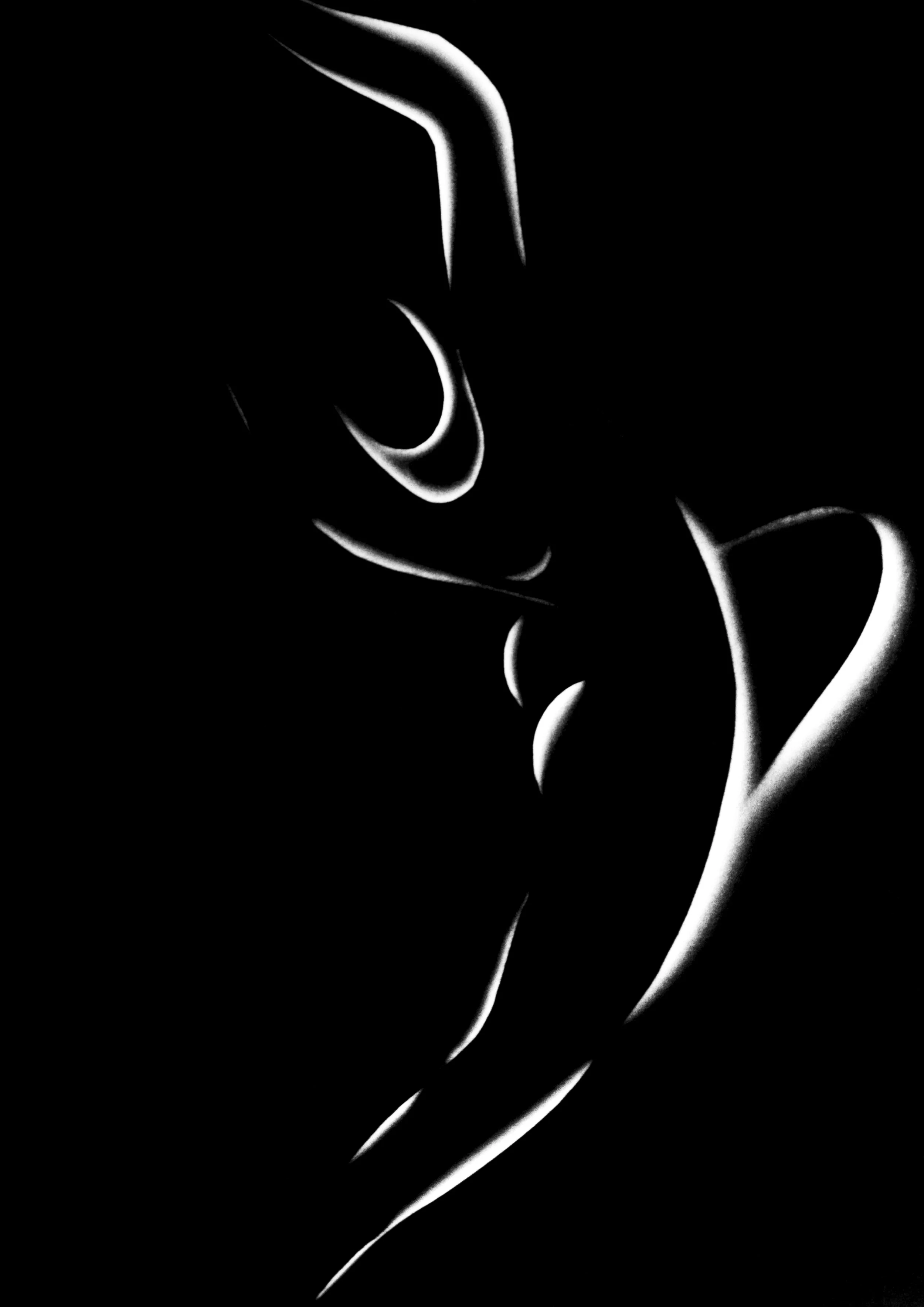 "Cliche Verre #2"