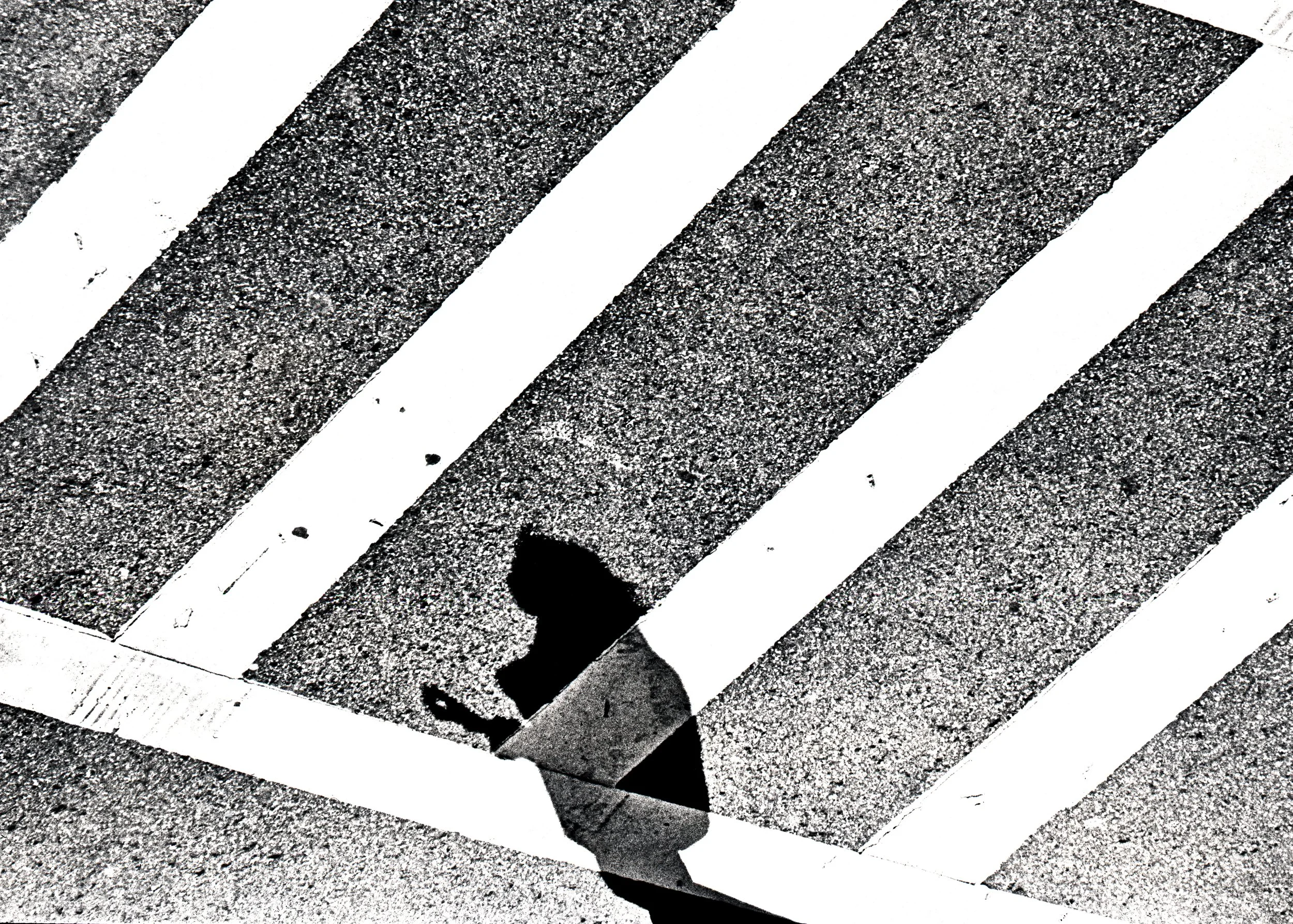 Shadow 12