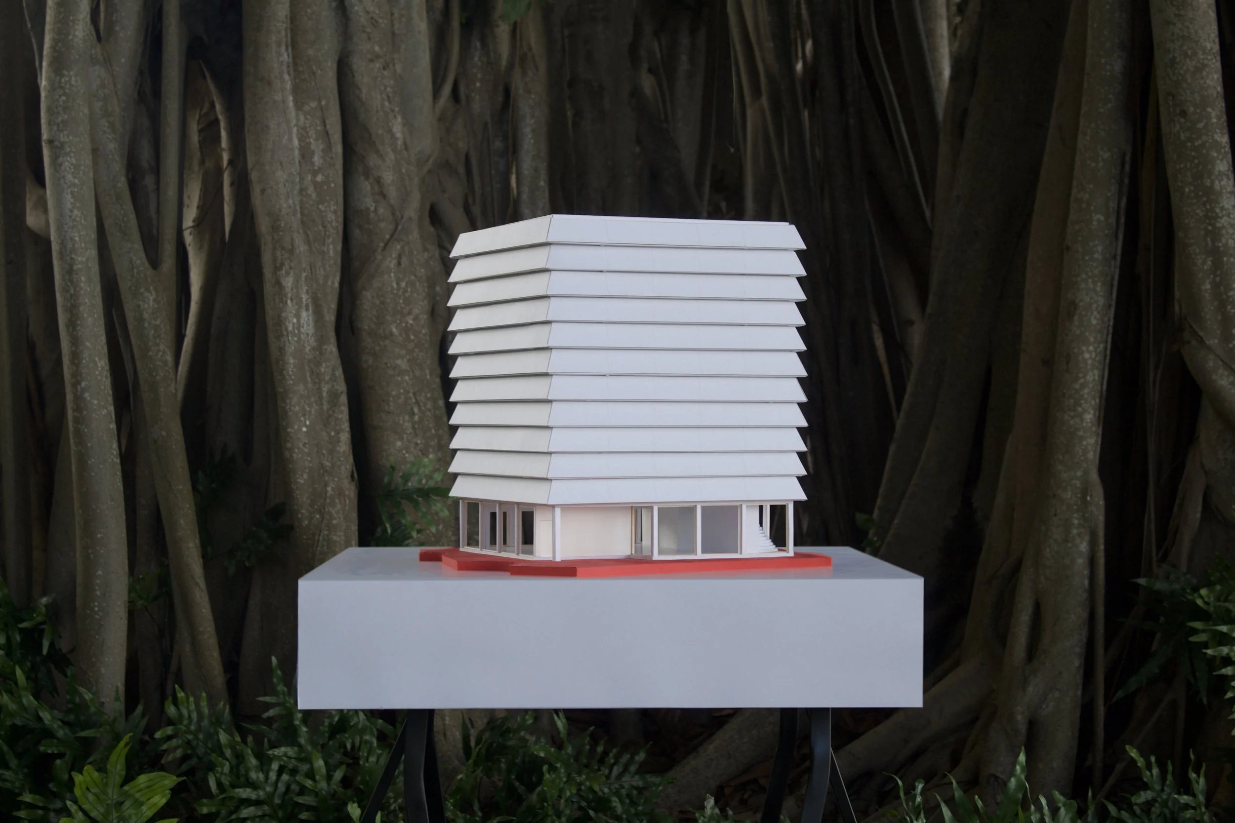 Small Steps Create Big Shifts 