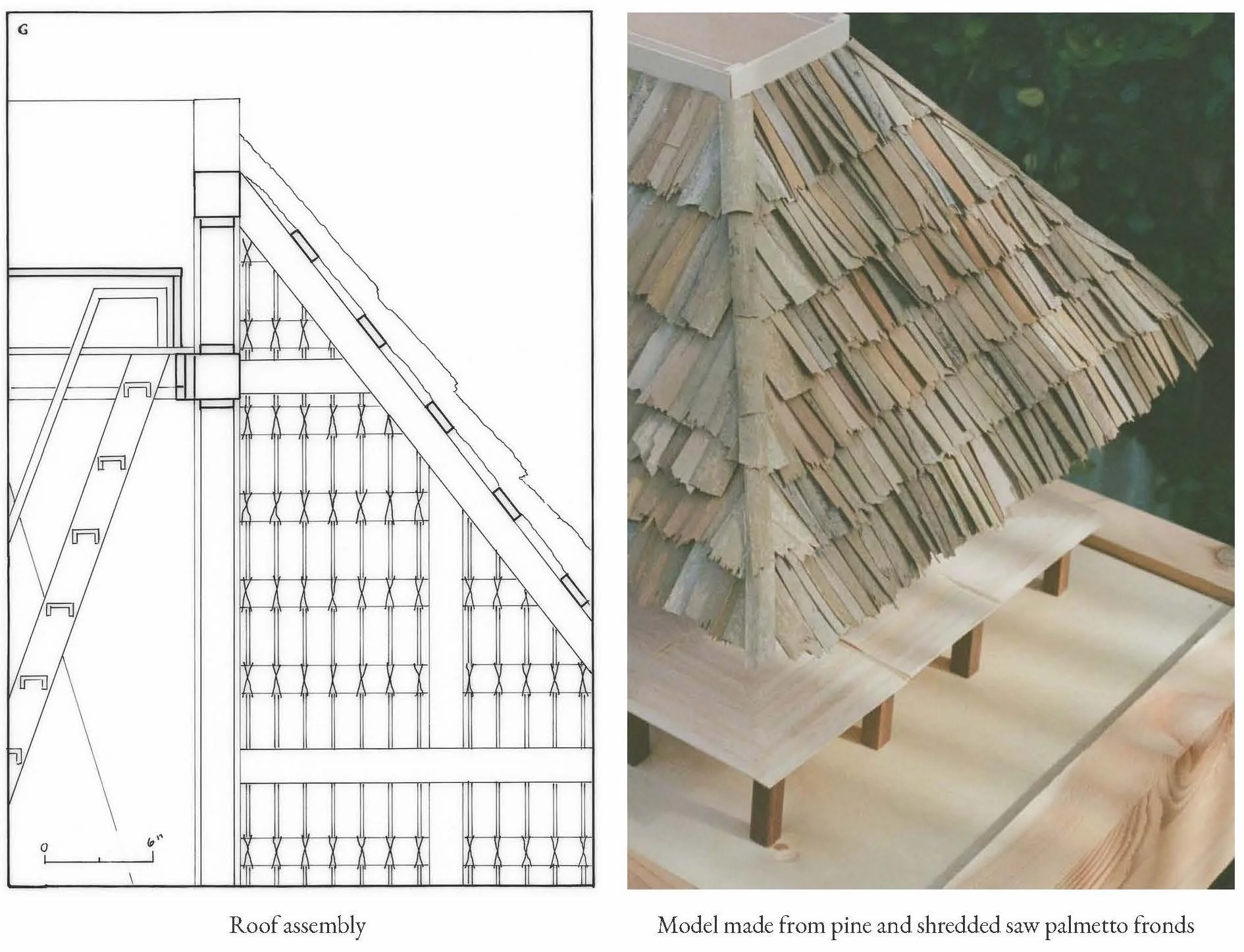 Small Steps Create Big Shifts 