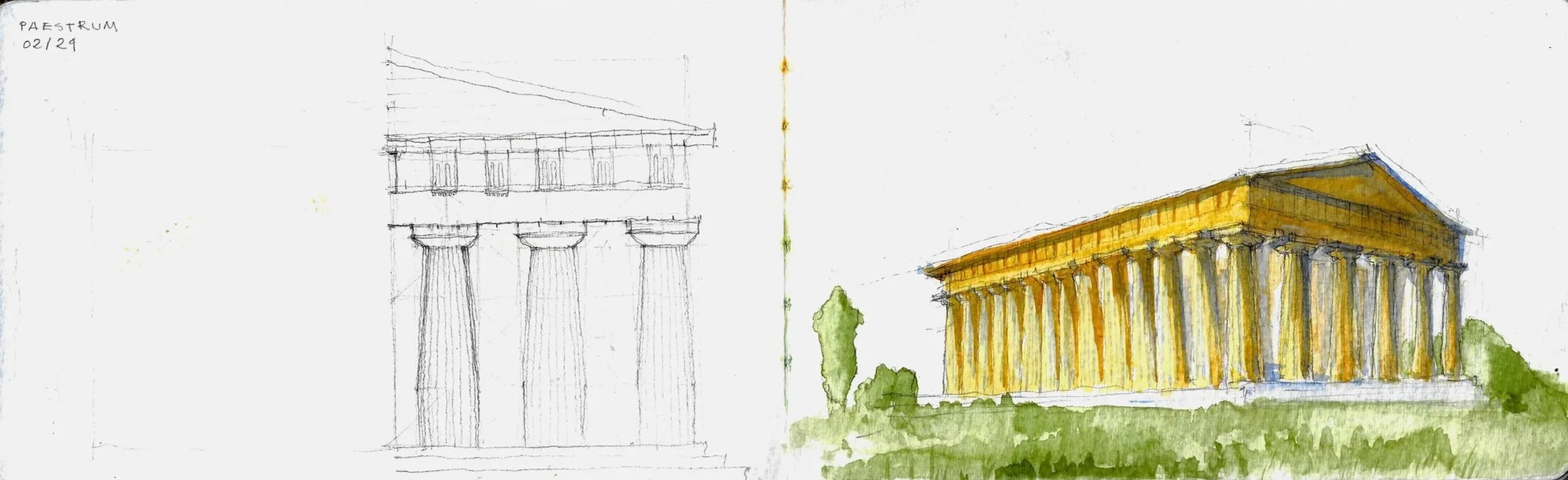 Paestrum_2024.jpg
