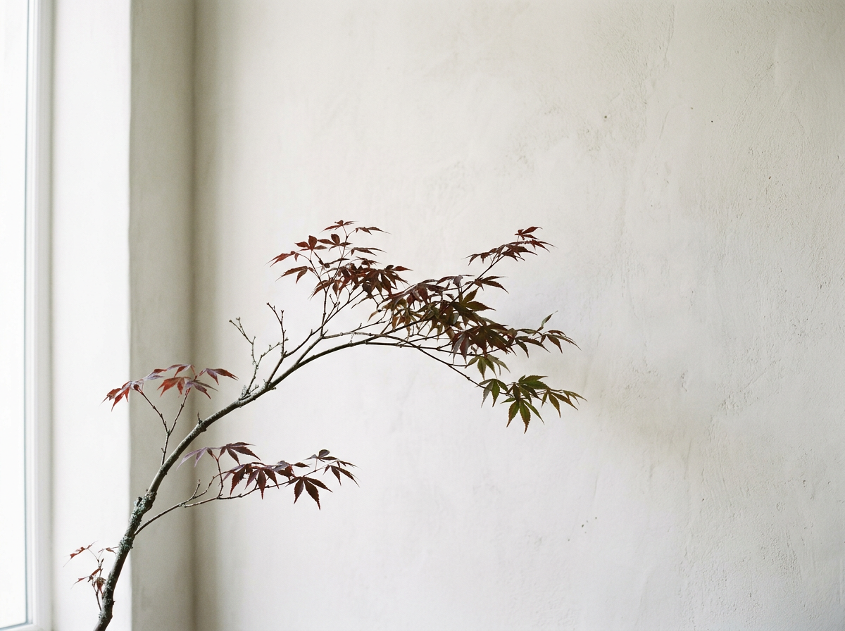 Autumn branch study at CocoFleur