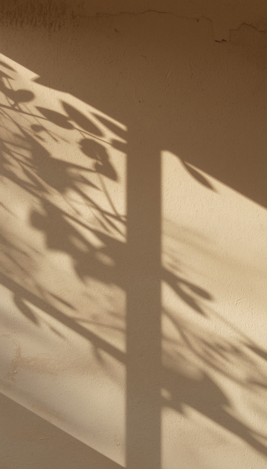 shadow of stems and leaves cast across a warm neutral wall.