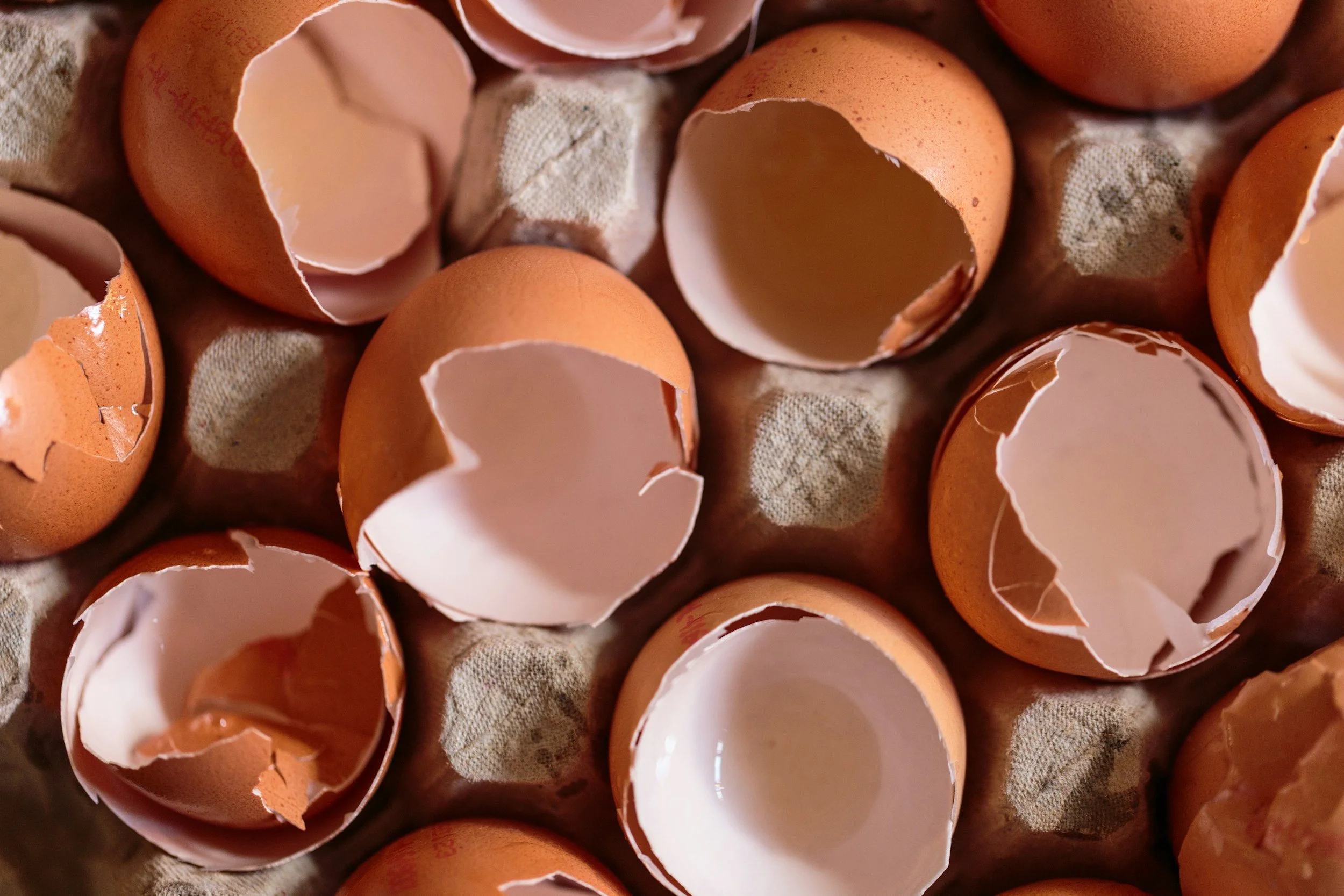 Tired of Walking on Eggshells?
