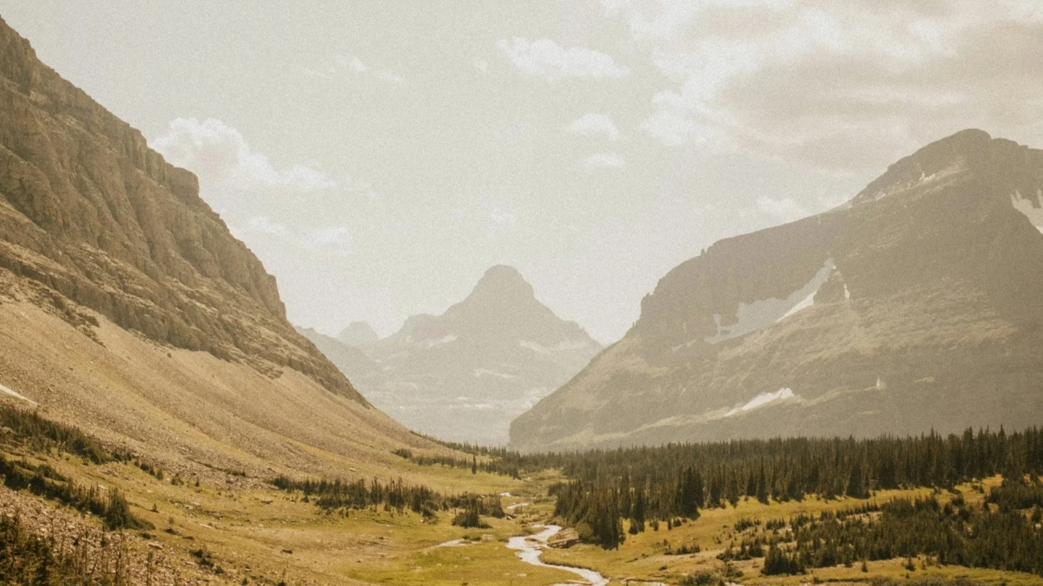 sunny mountain scene in montana