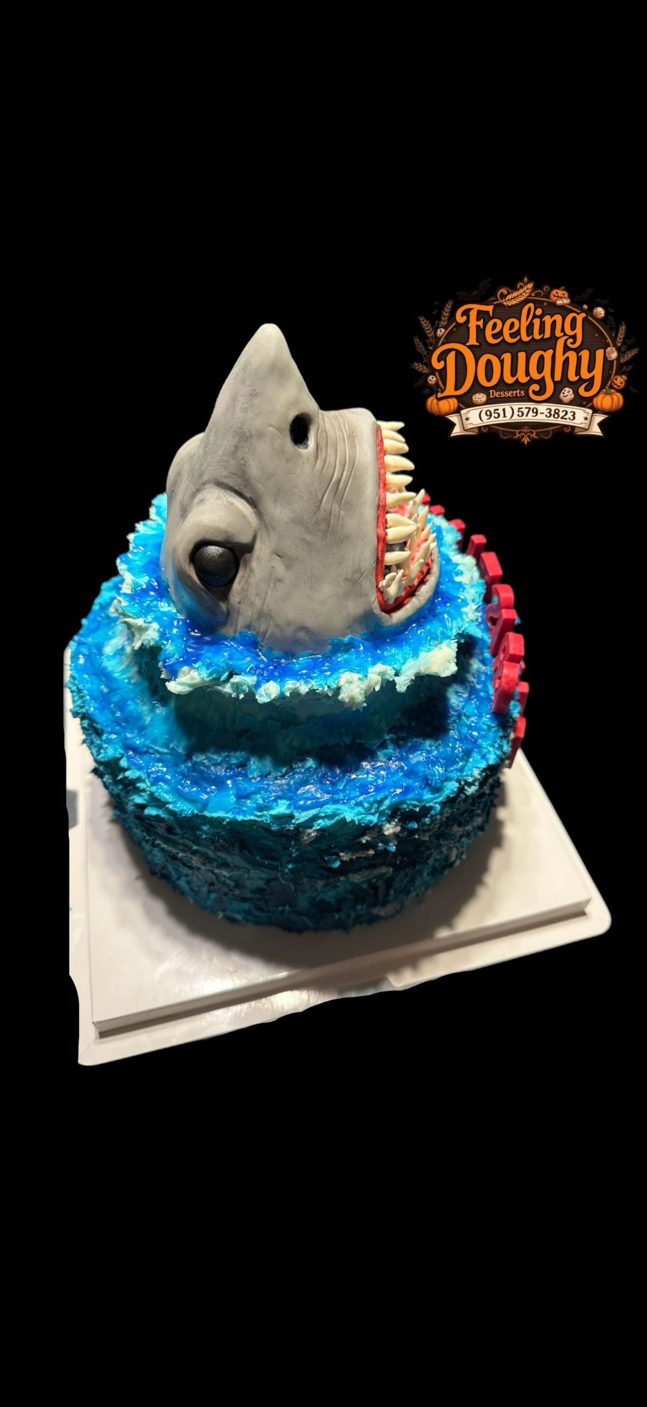 Shark Cake 8”