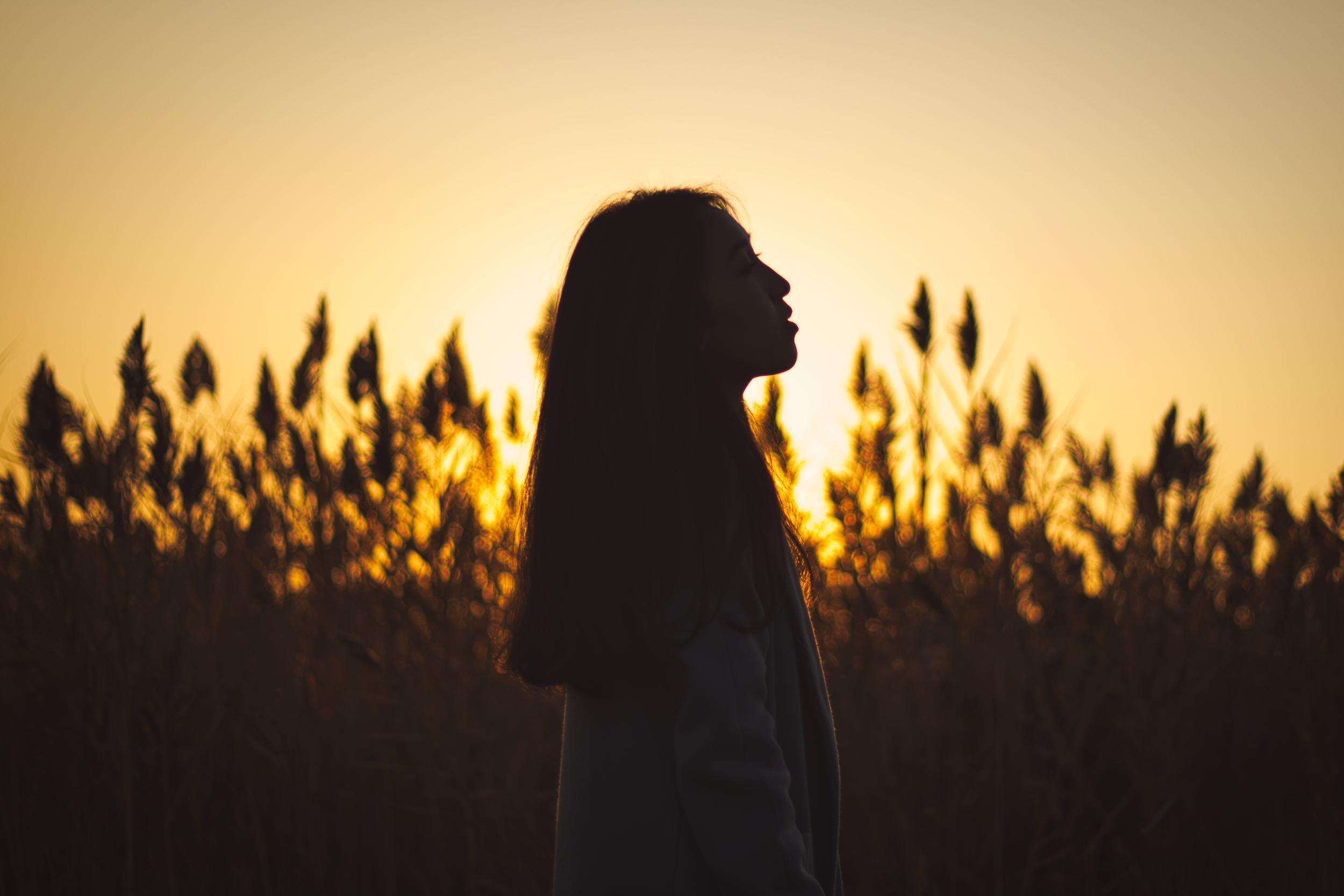 Silhouette of a woman standing in a field at sunset, with tall grass and plants, facing to the right.