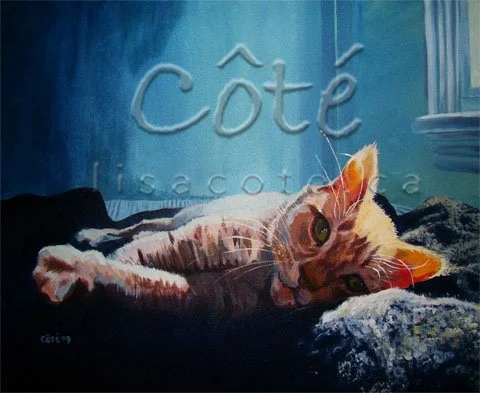 Cat Pet Portrait Dillan