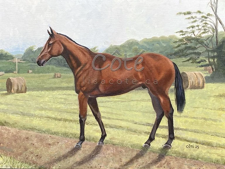 Classic Equestrian Portrait