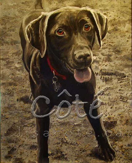 Chocolate Lab Pet Portrait