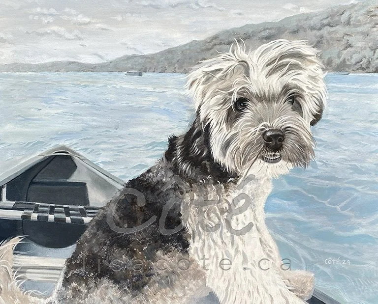 Dog in Canoe Pet Portrait