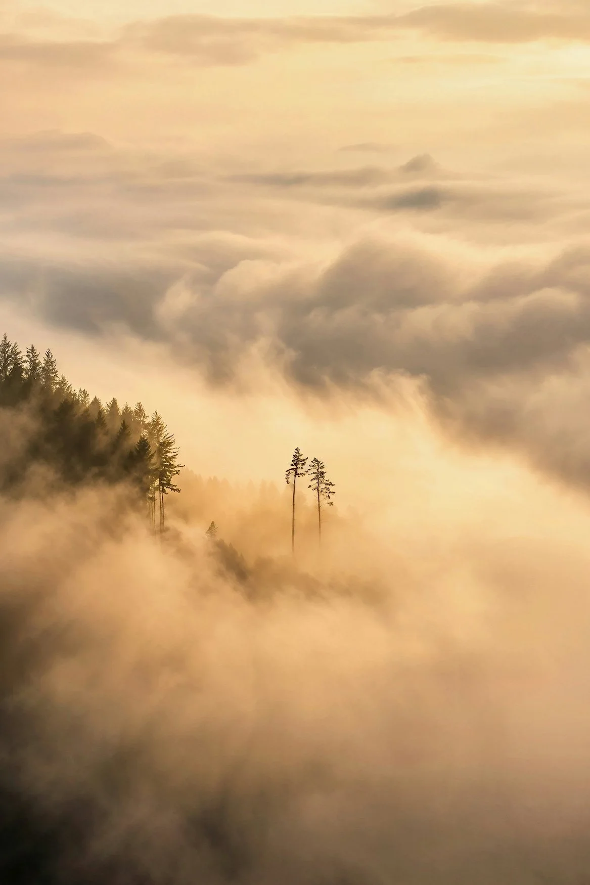 Cloudy skies overlooking the tops of mountains