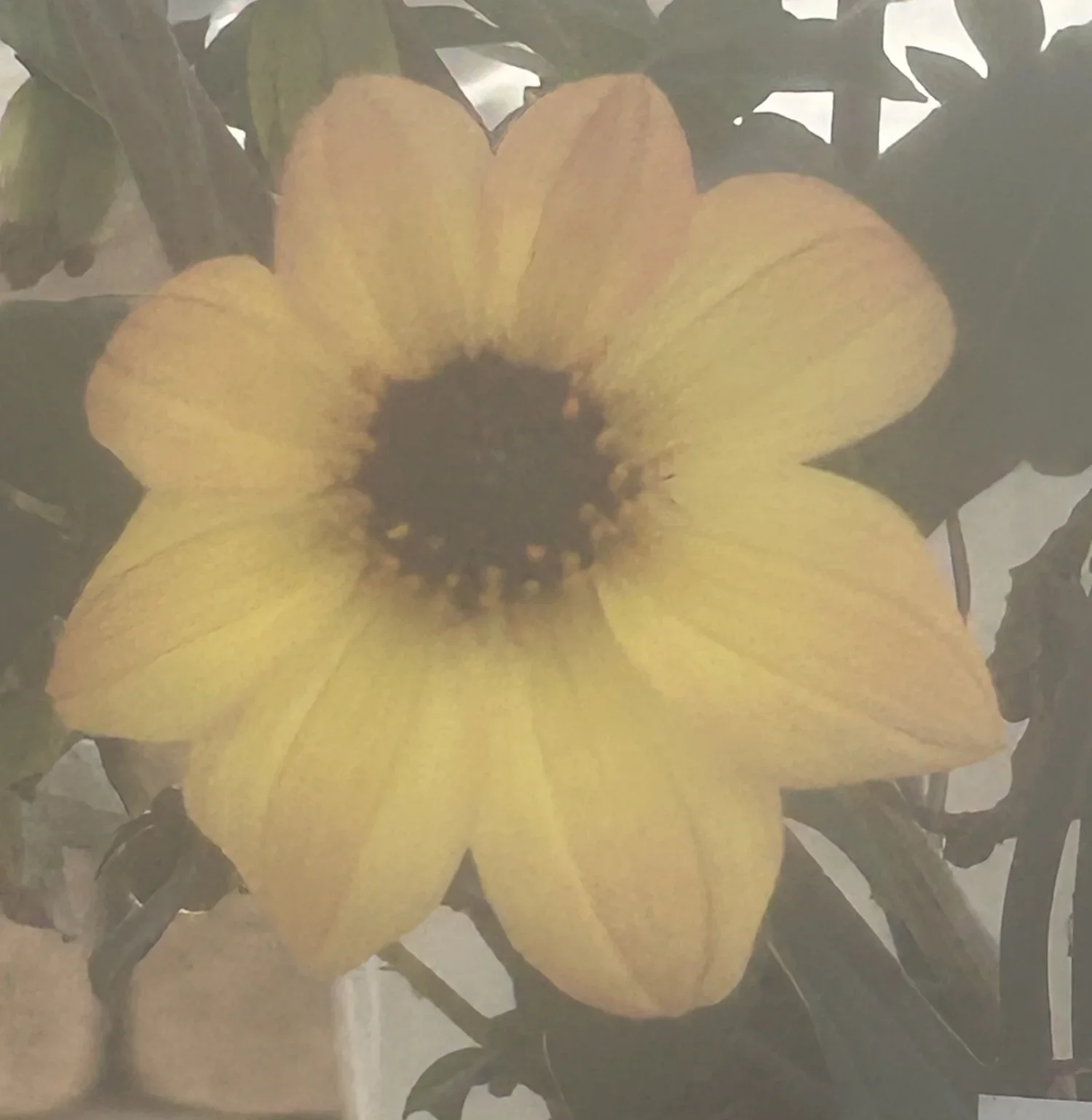 What Is Soul Liberation Life Coaching (and Why It Matters More Than Ever)?