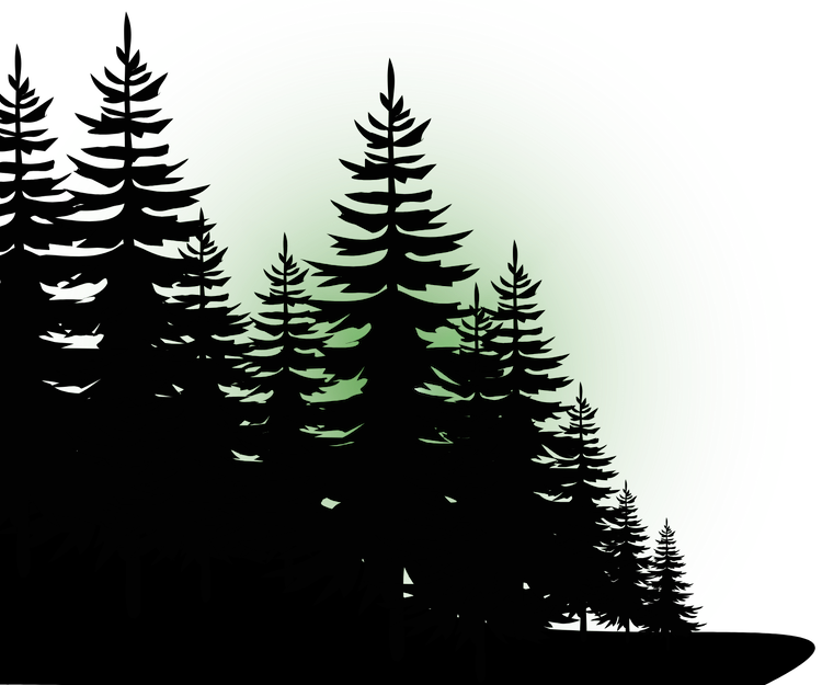 Silhouette of evergreen trees with green "light" behind them