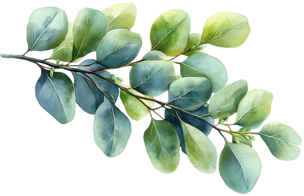 Green leaves on stem