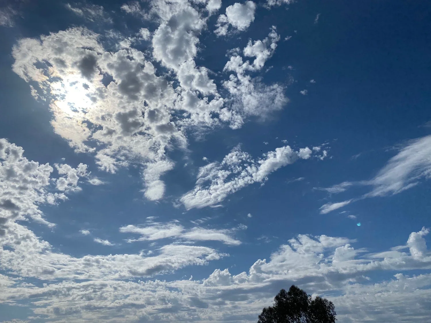 diffuse sunlight with puffy white clouds in a blue sky