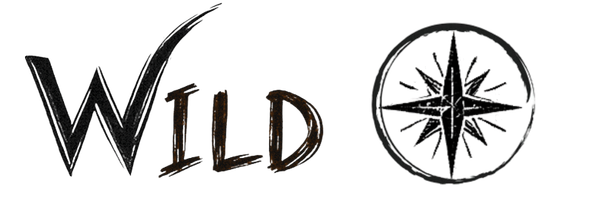 Wild Compass | Challenge Course and Adventures 
