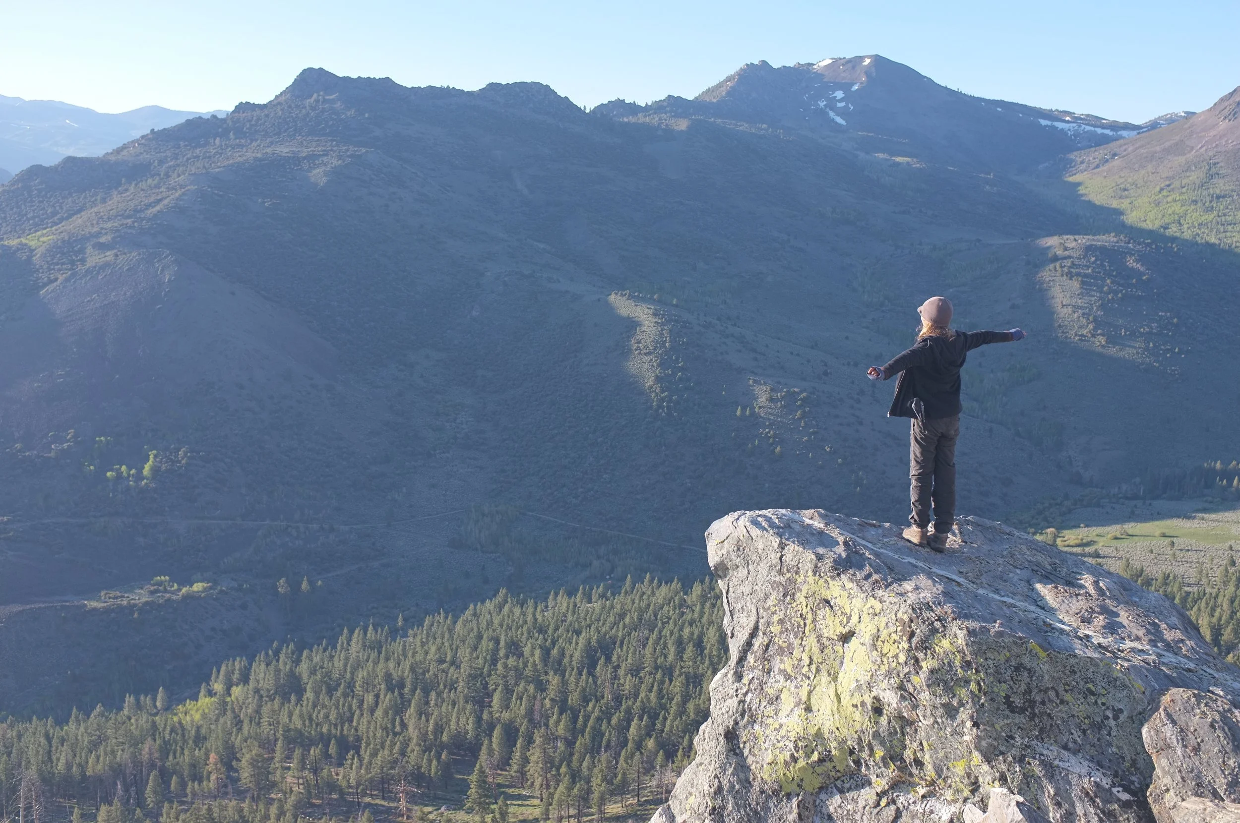 Geometric drawing of an outline square with sections divided by vertical, horizontal, and half circle lines.